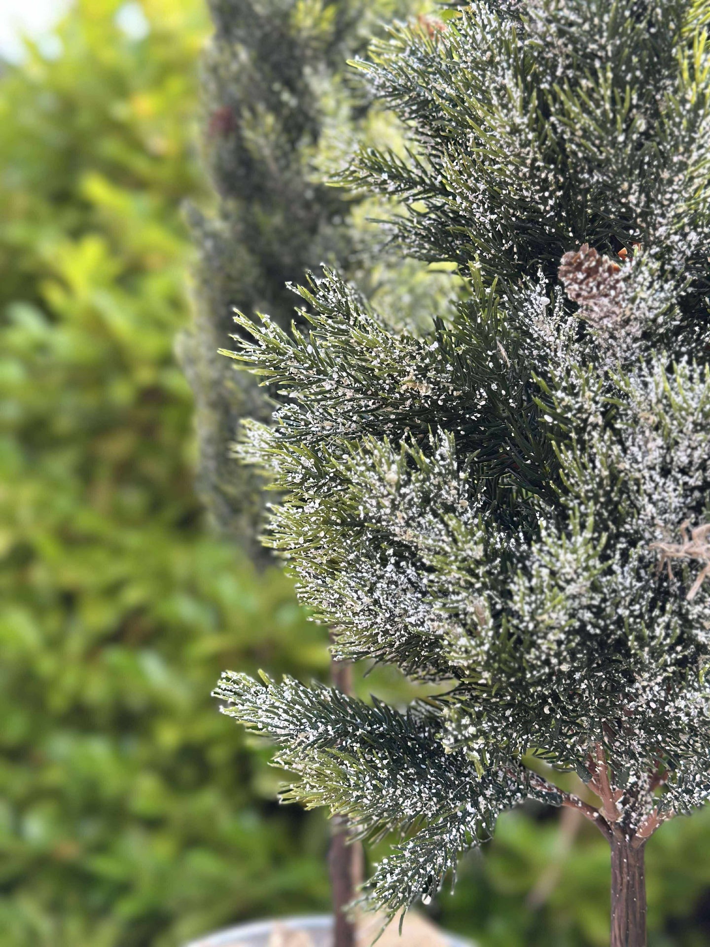 Blandad Tall - 106 cm