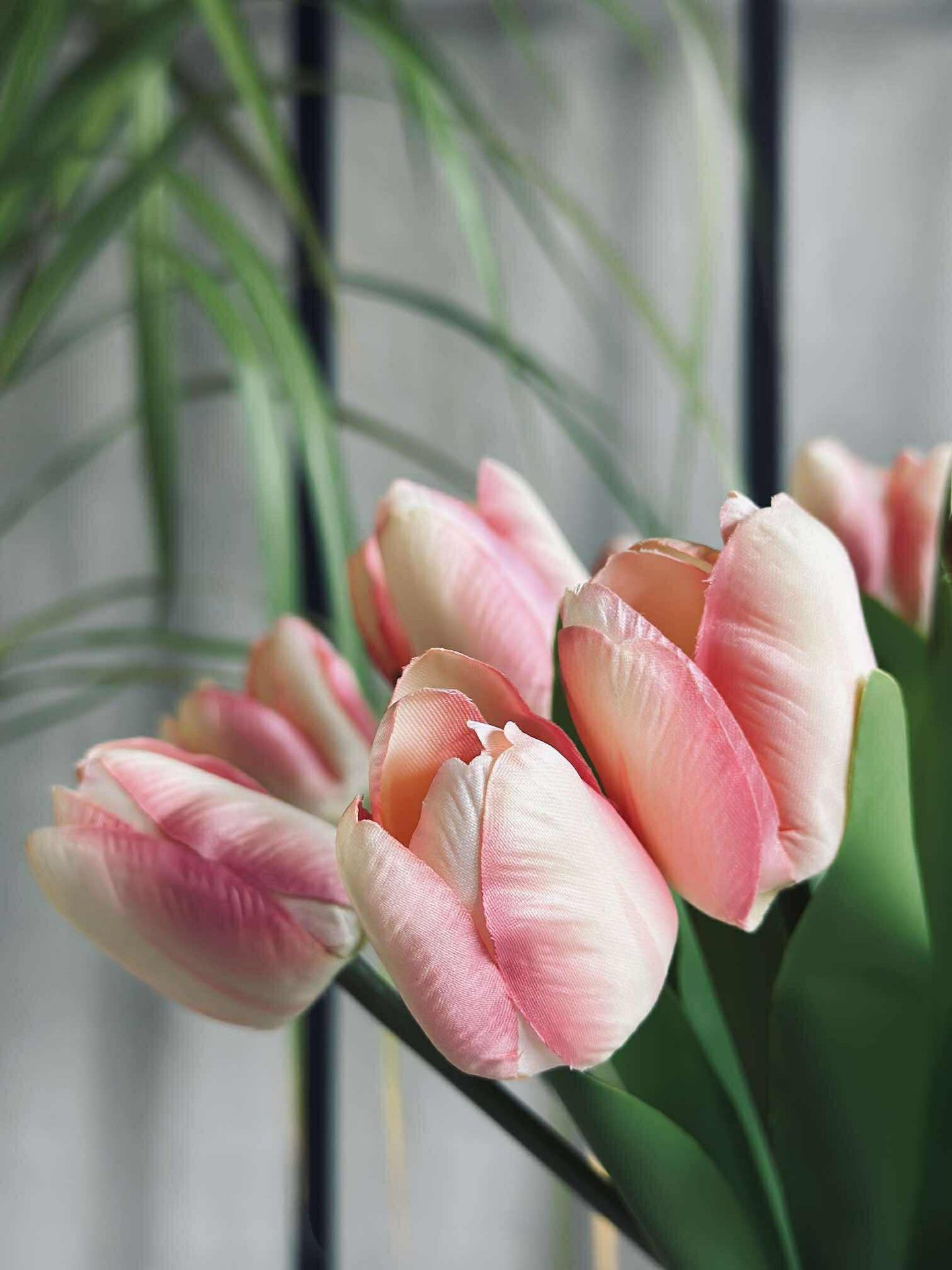 Tulpaner i silkeslook – Flera färger