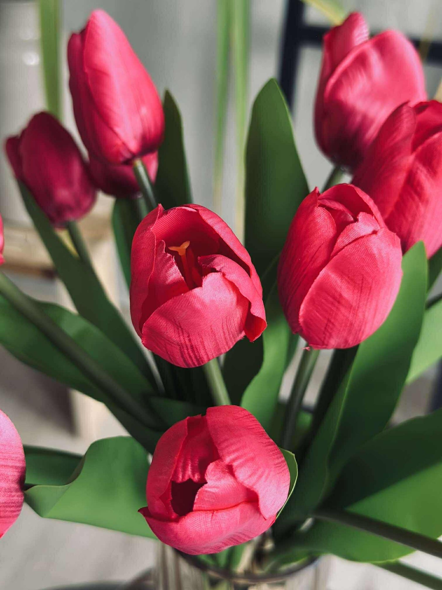 Tulpaner i silkeslook – Flera färger