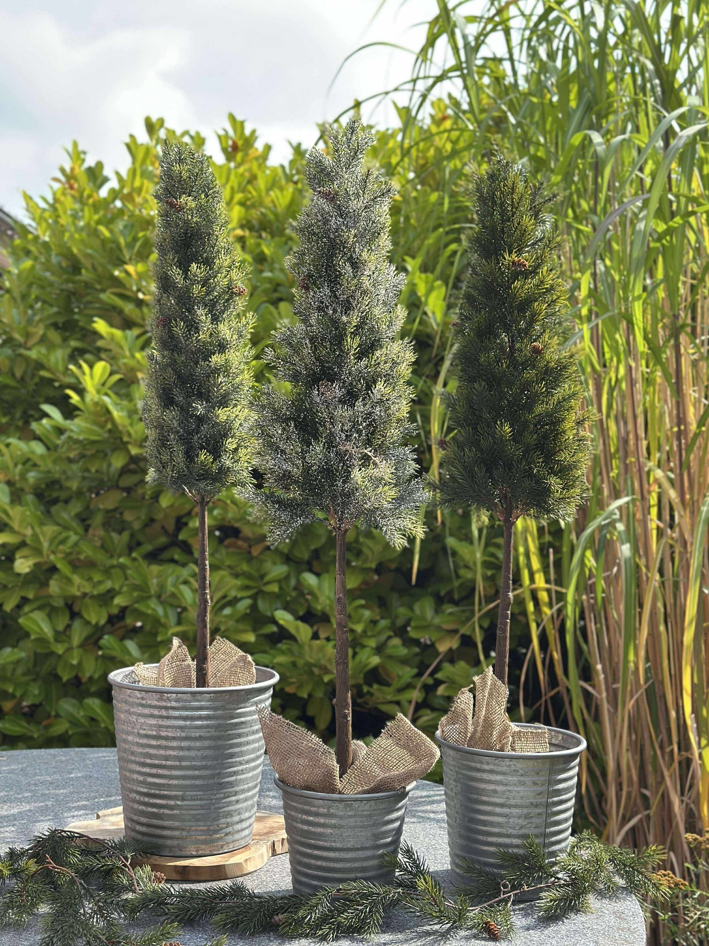 Blandad Tall - 106 cm