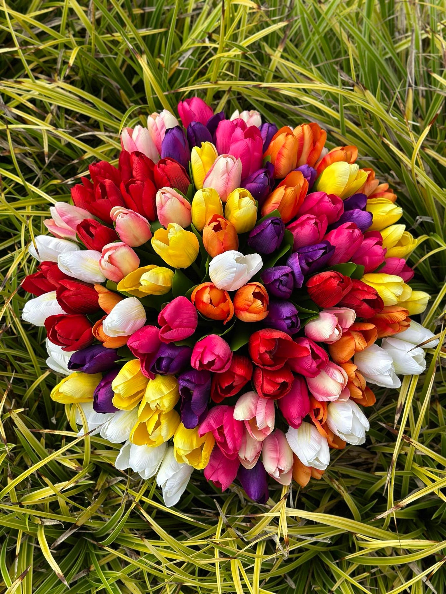 Tulpaner i silkeslook – Flera färger