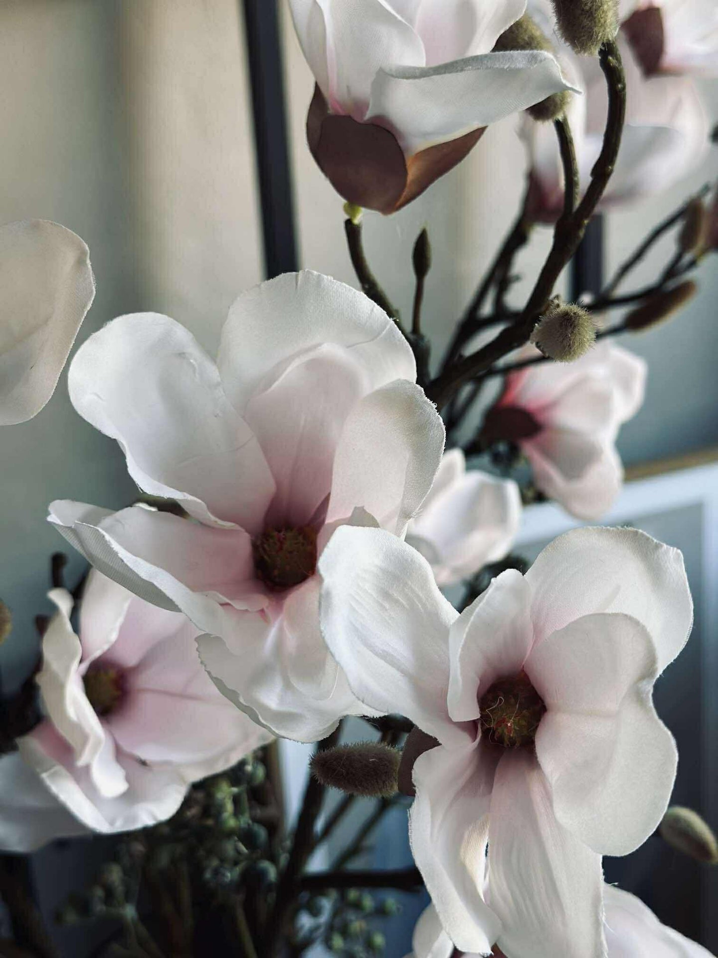 Magnoliagren rosa - 92cm