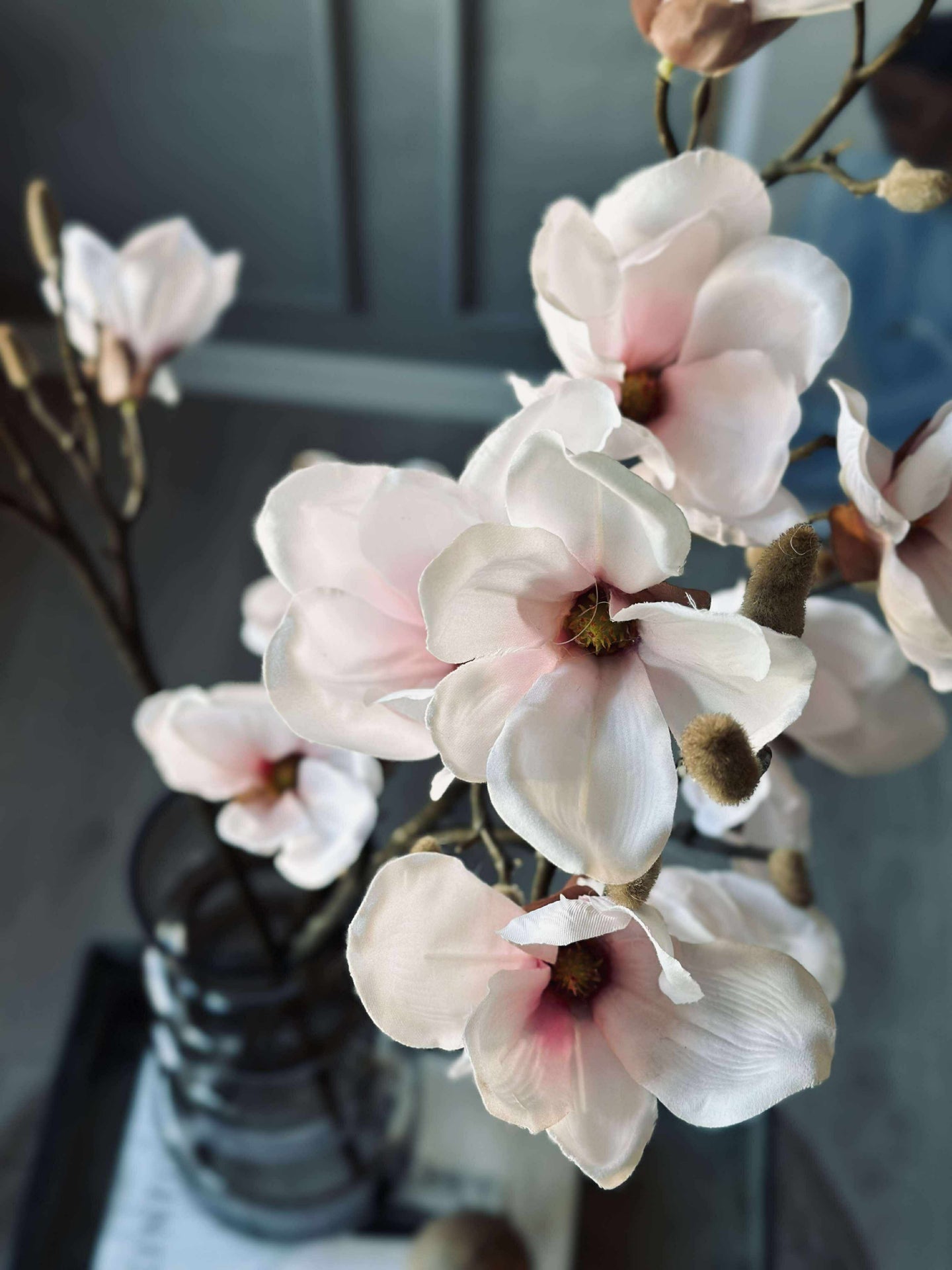 Magnoliagren rosa - 92cm