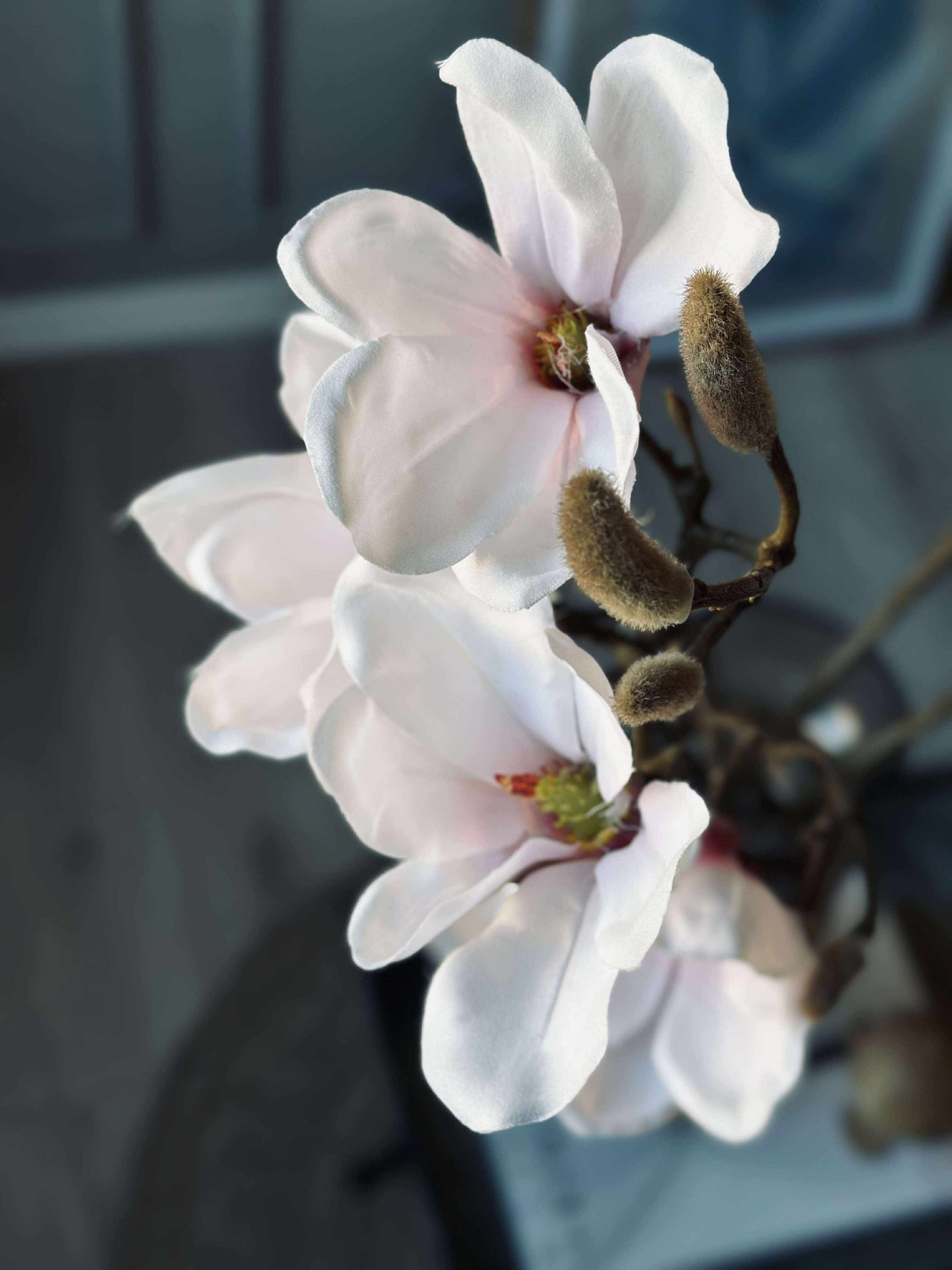 Magnoliagren rosa - 92cm