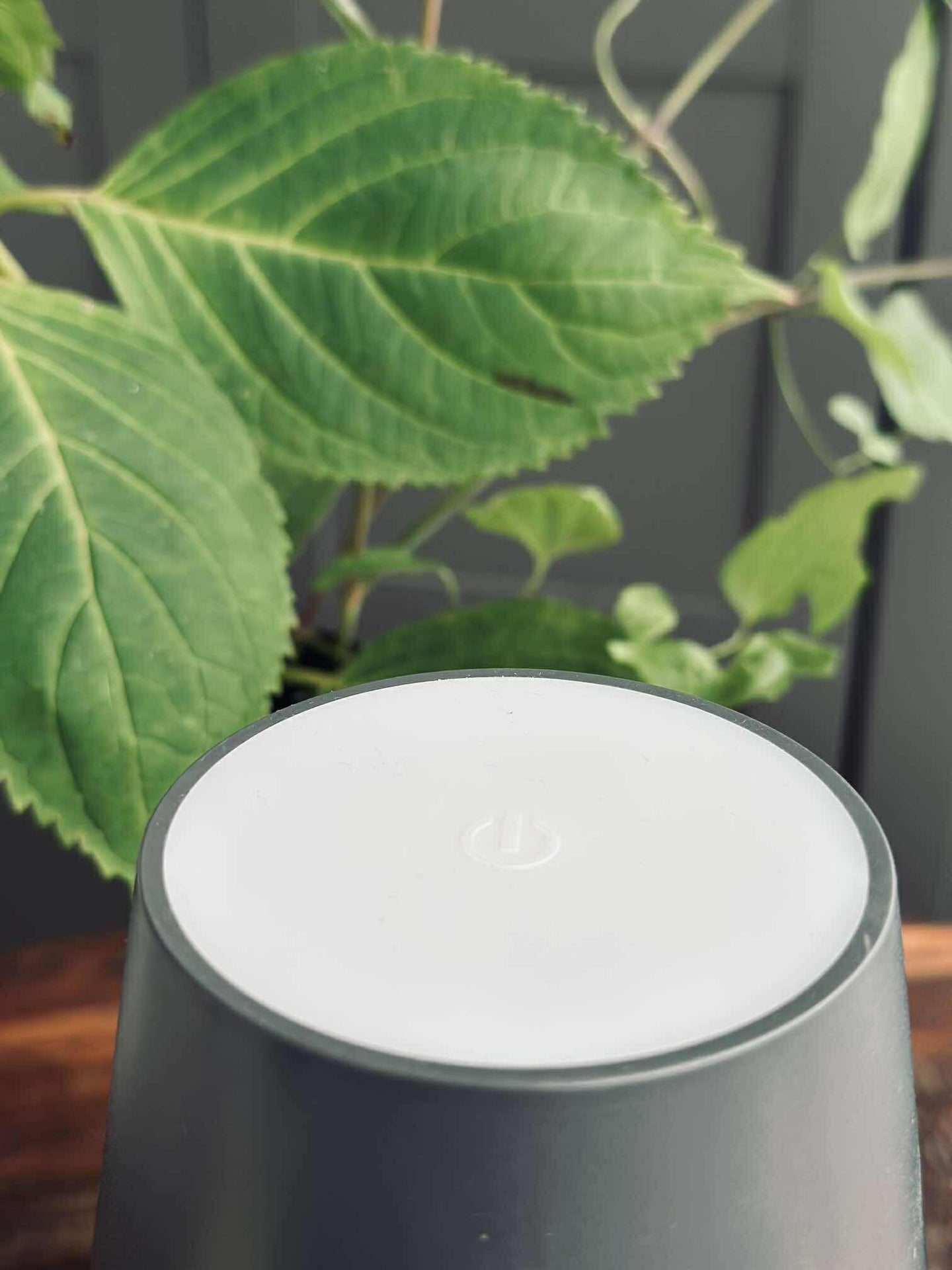 LED-lampa för vinflaska - Grå MIX