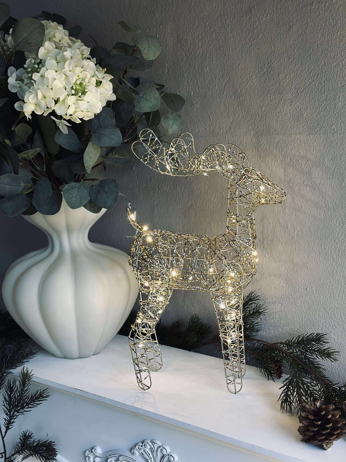 Ren med LED-ljus