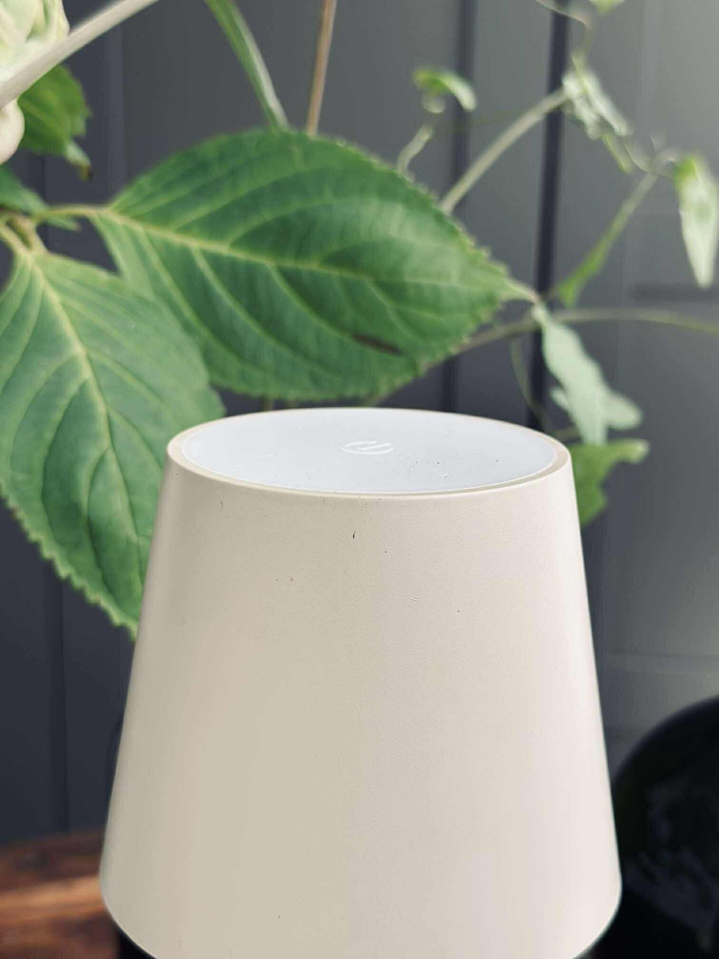 LED-lampa för vinflaska - Creme MIX