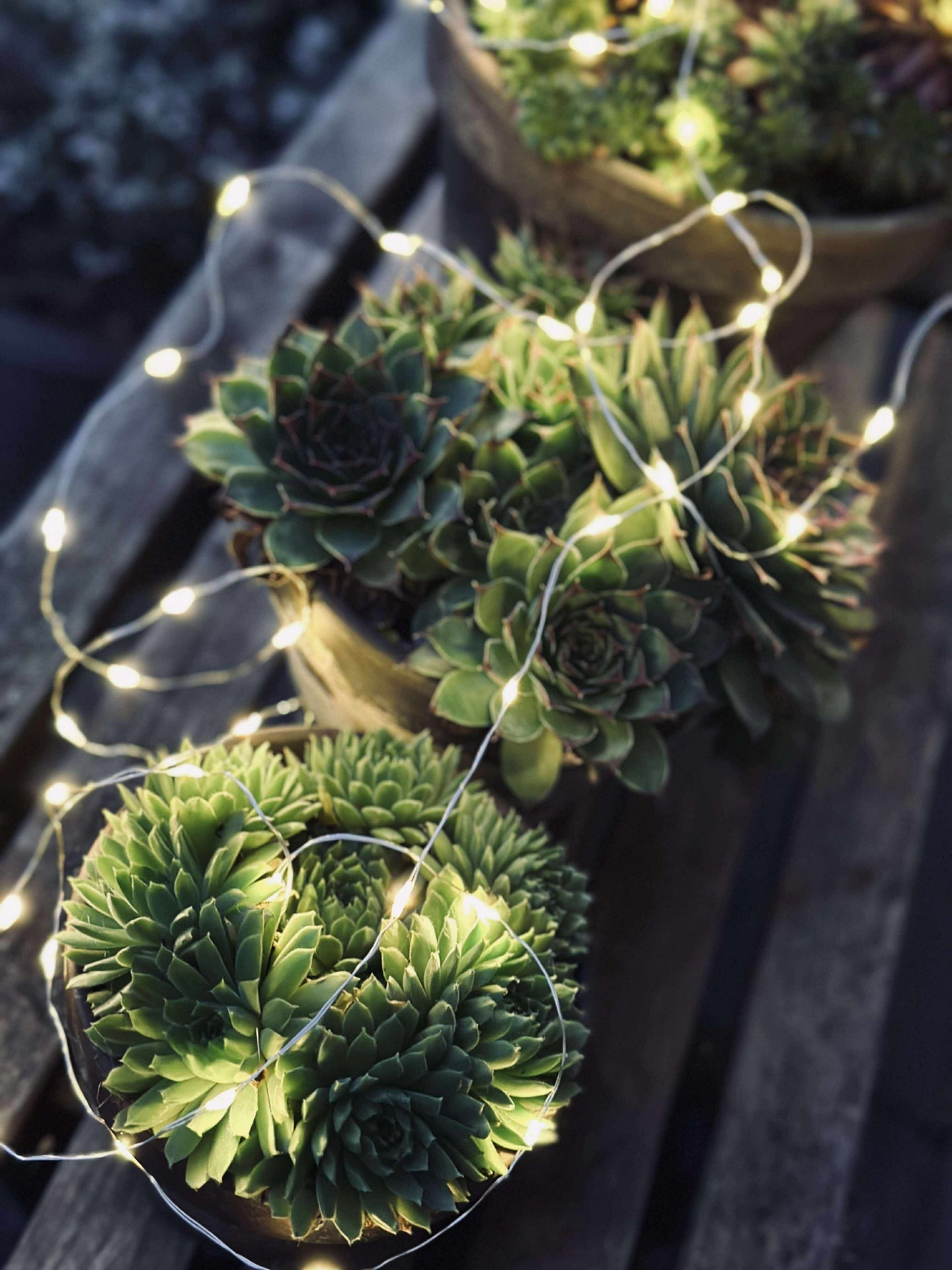 Ljusslinga Marly med Solcell - 100 ljus