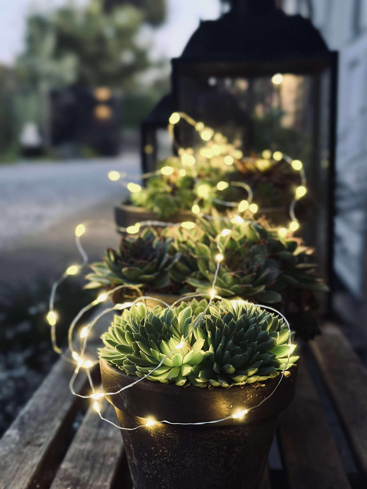 Ljusslinga Marly med Solcell - 100 ljus