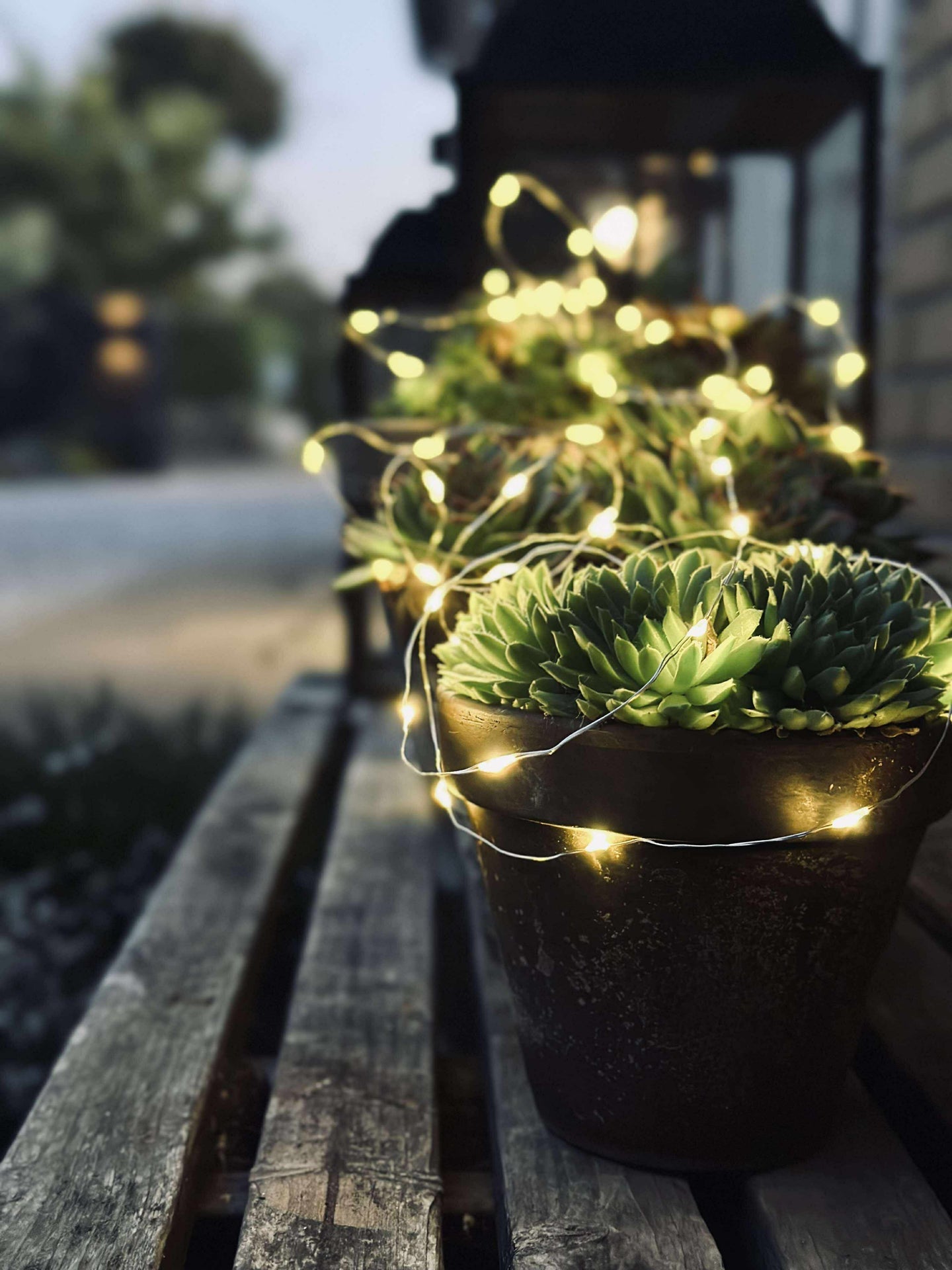 Ljusslinga Marly med Solcell - 100 ljus