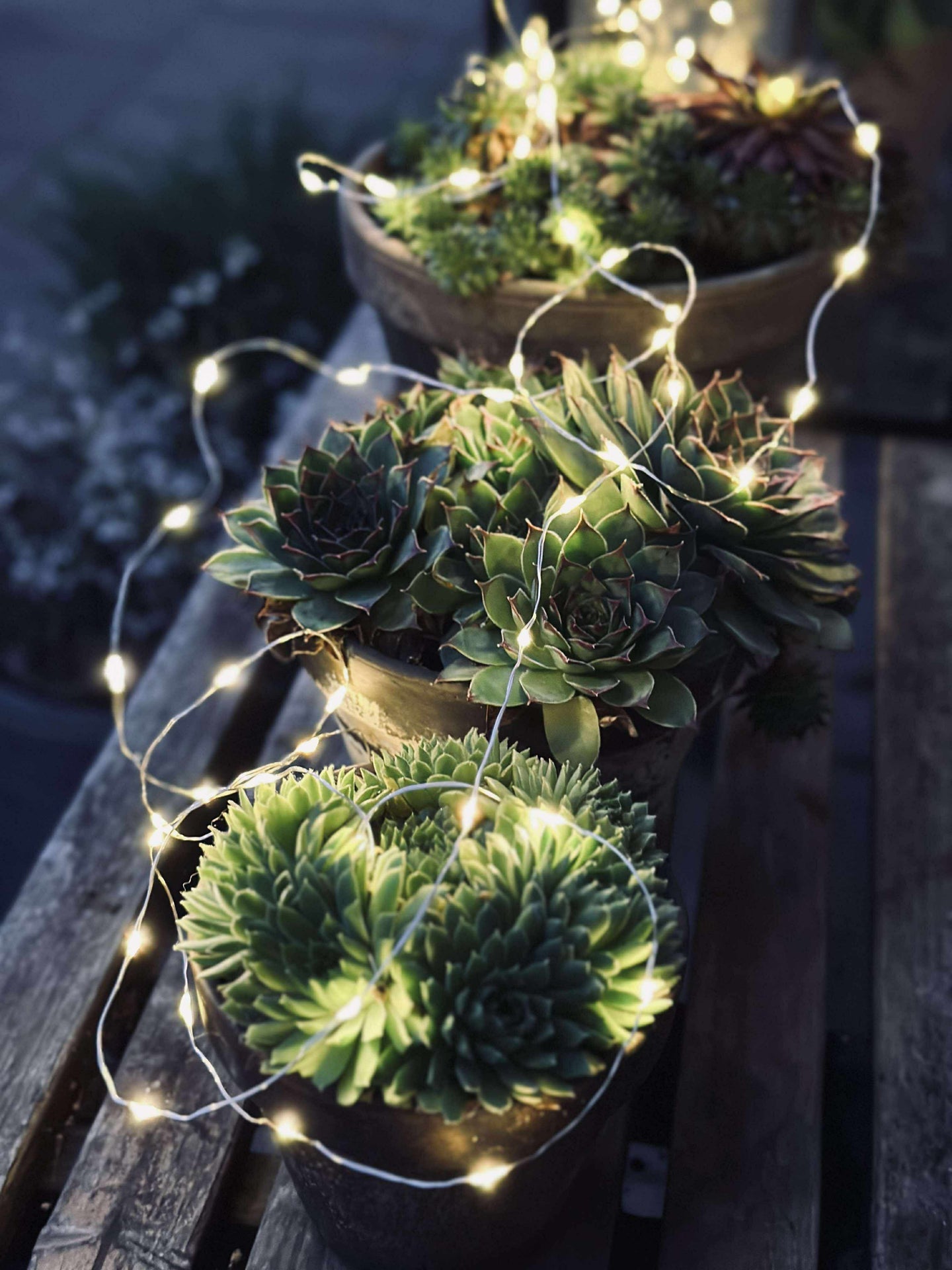 Ljusslinga Marly med Solcell - 100 ljus