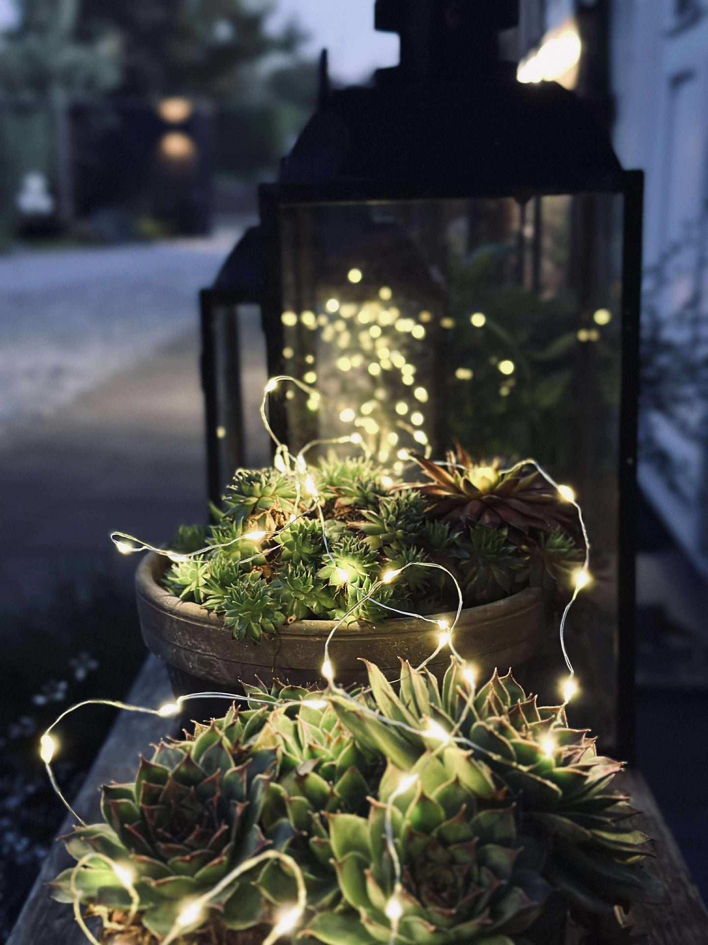 Ljusslinga Marly med Solcell - 100 ljus