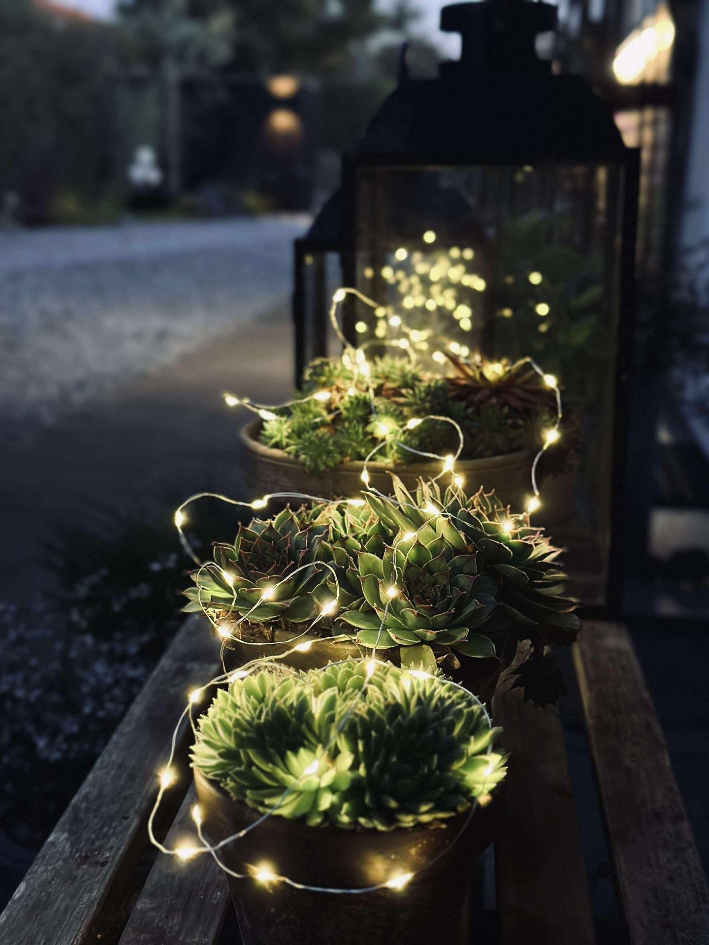 Ljusslinga Marly med Solcell - 100 ljus