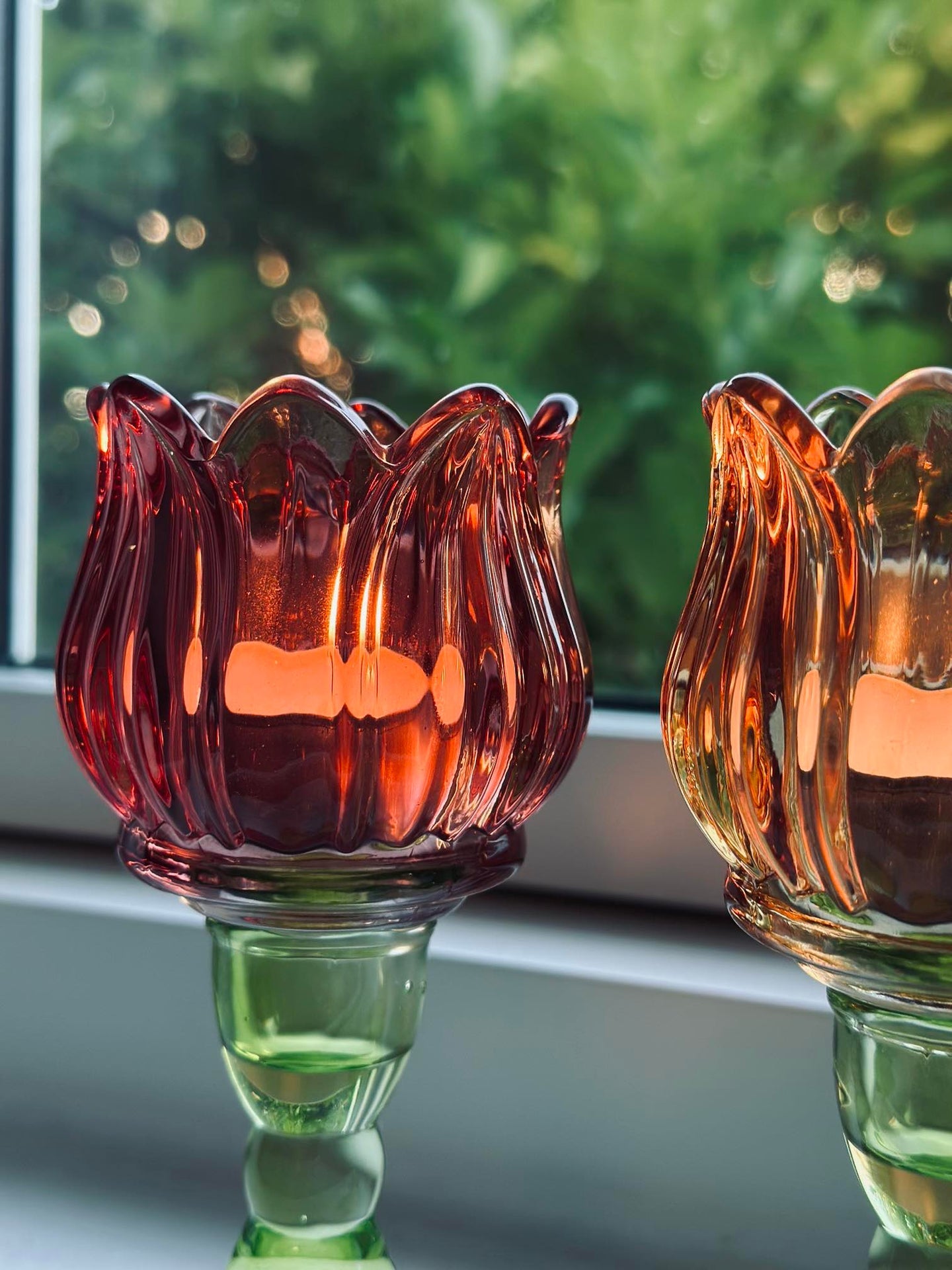 Ljusstake blomma Mörk rosa