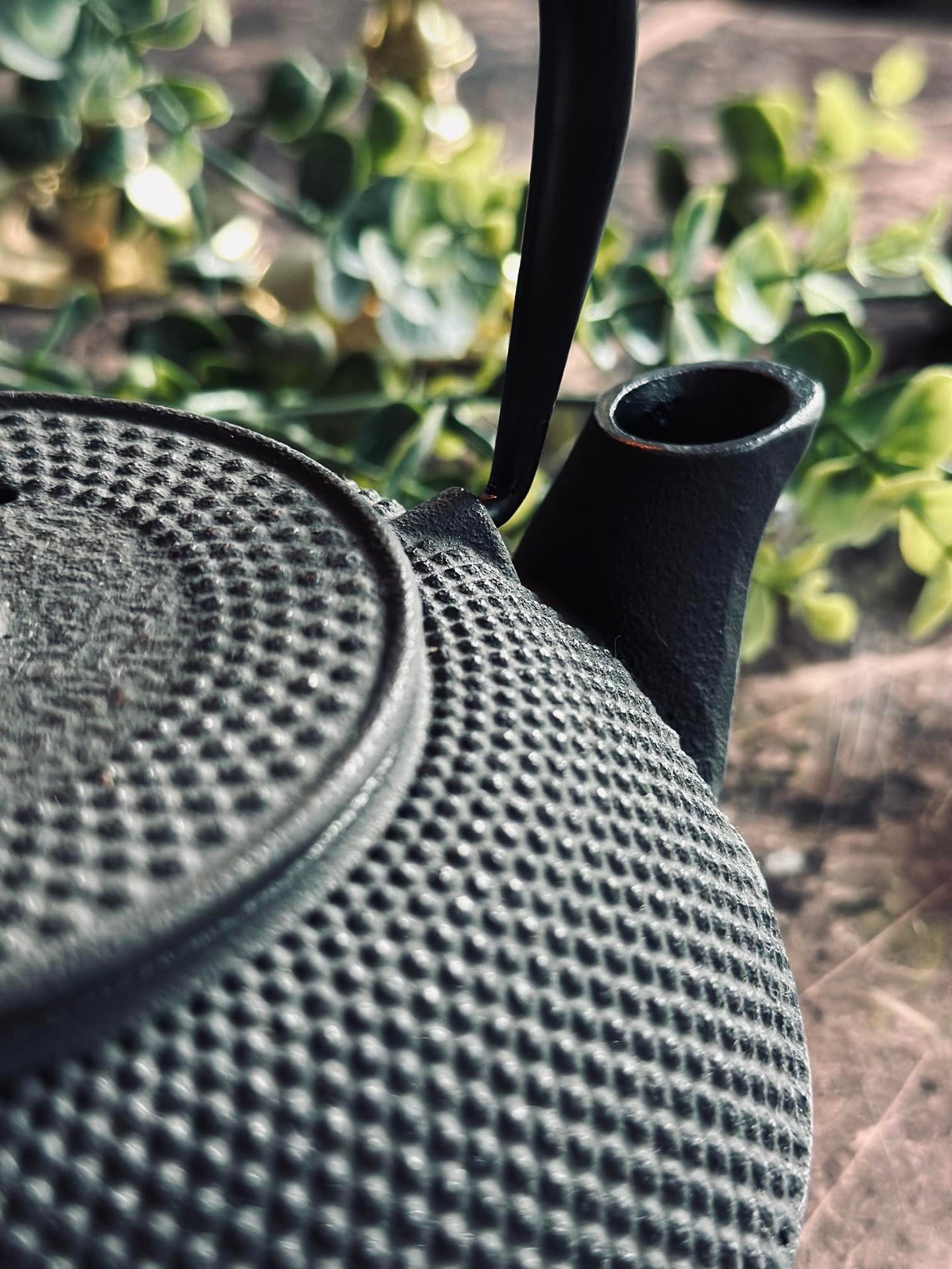 Tekanna i gjutjärn - 1200ml