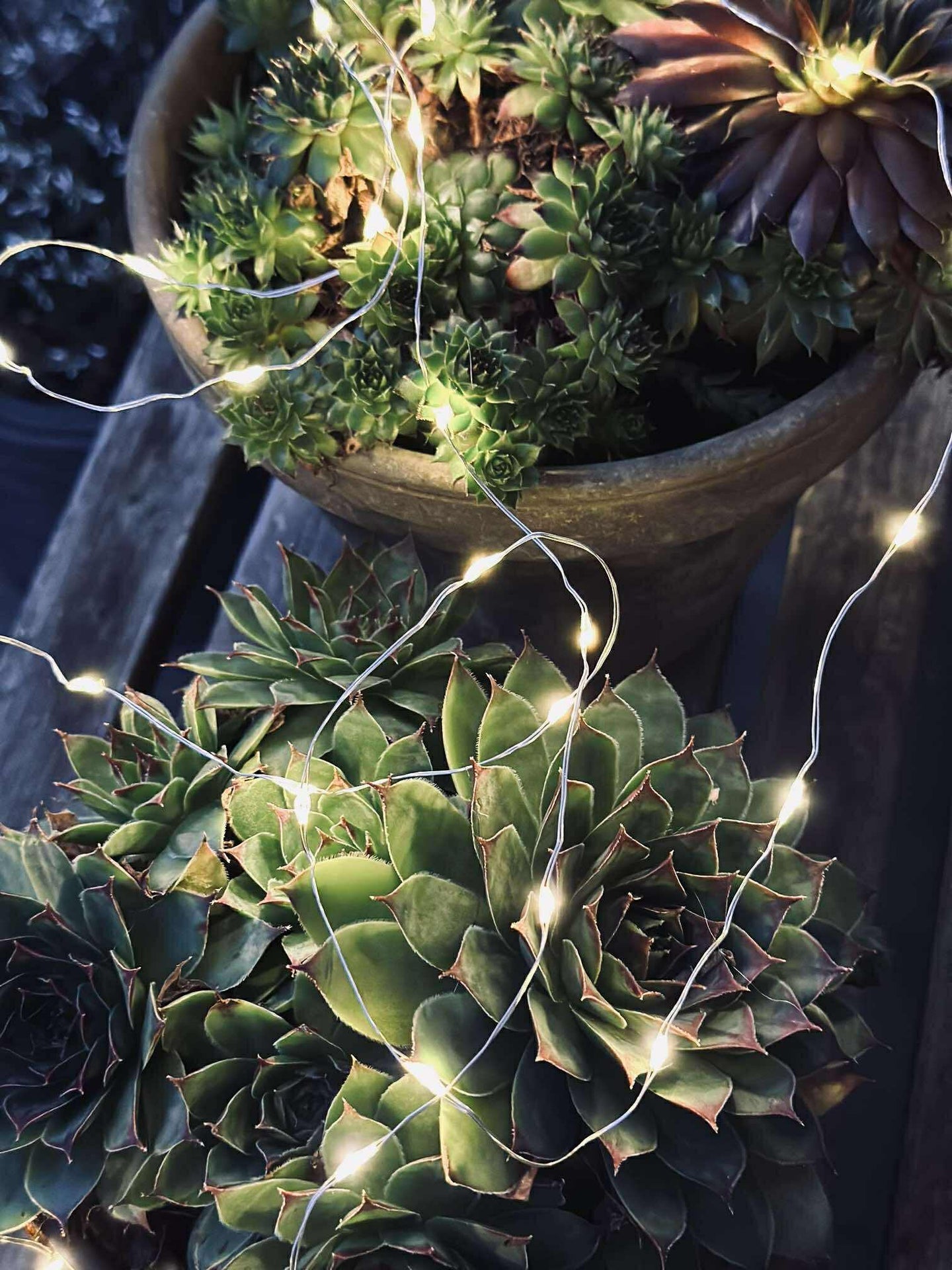 Ljusslinga Marly med Solcell - 100 ljus