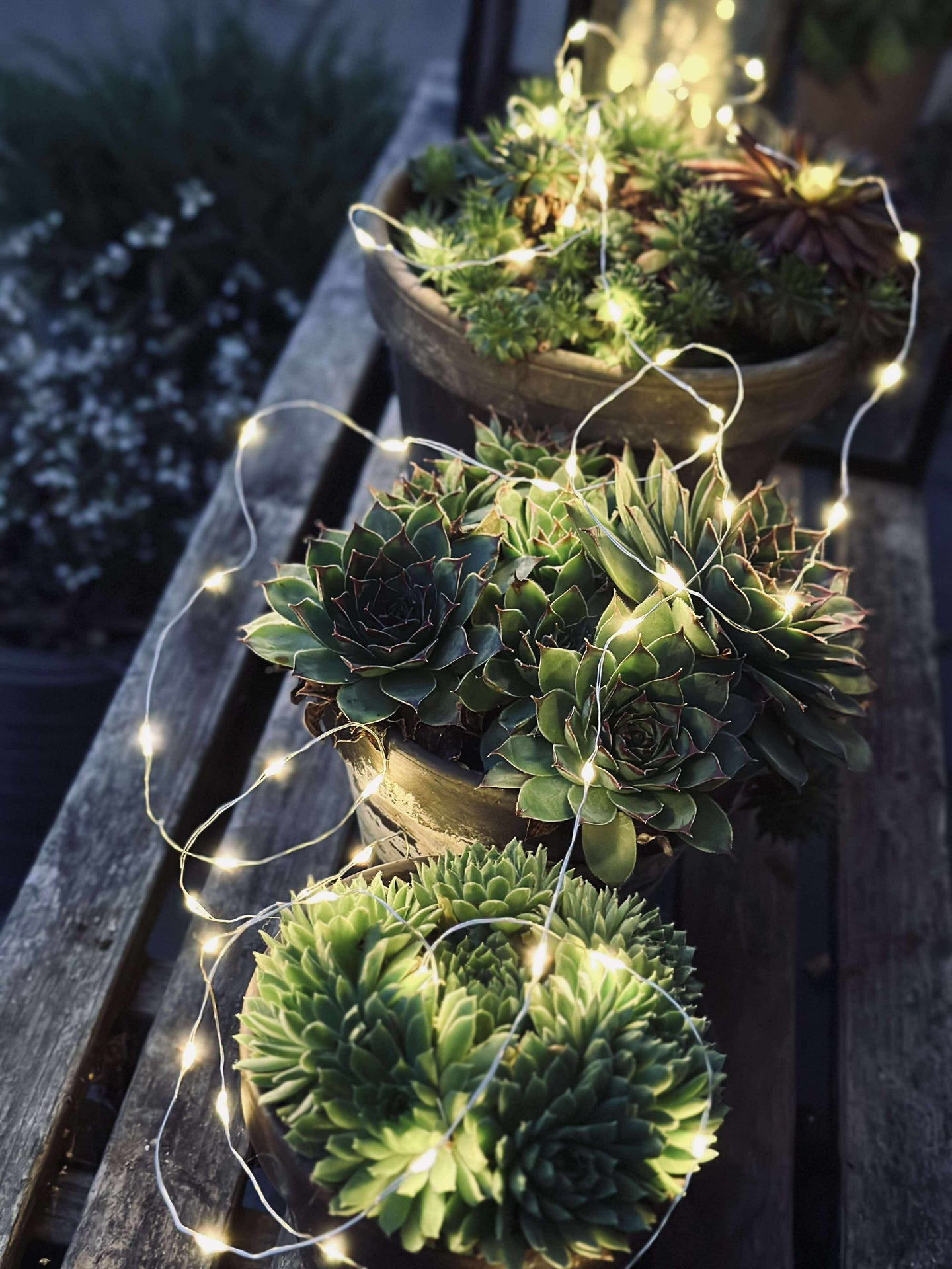 Ljusslinga Marly med Solcell - 100 ljus