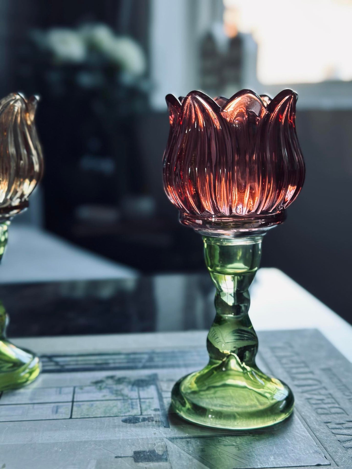 Ljusstake blomma Mörk rosa