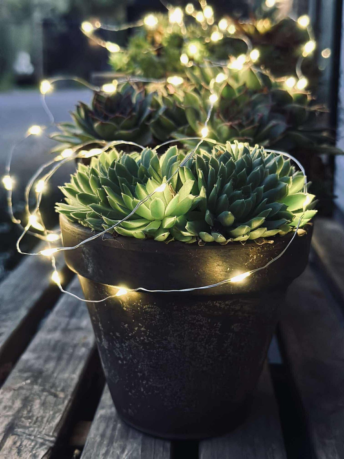 Ljusslinga Marly med Solcell - 100 ljus