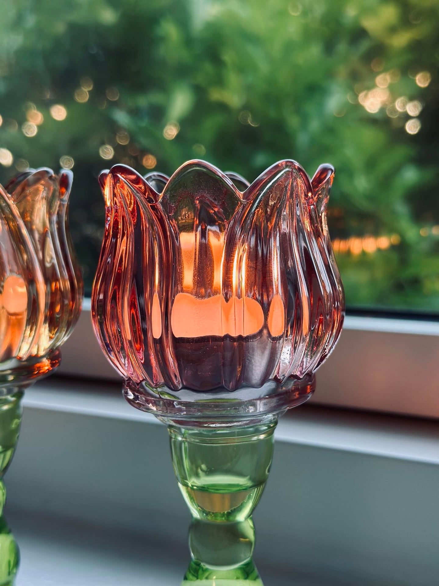 Ljusstake blomma rosa