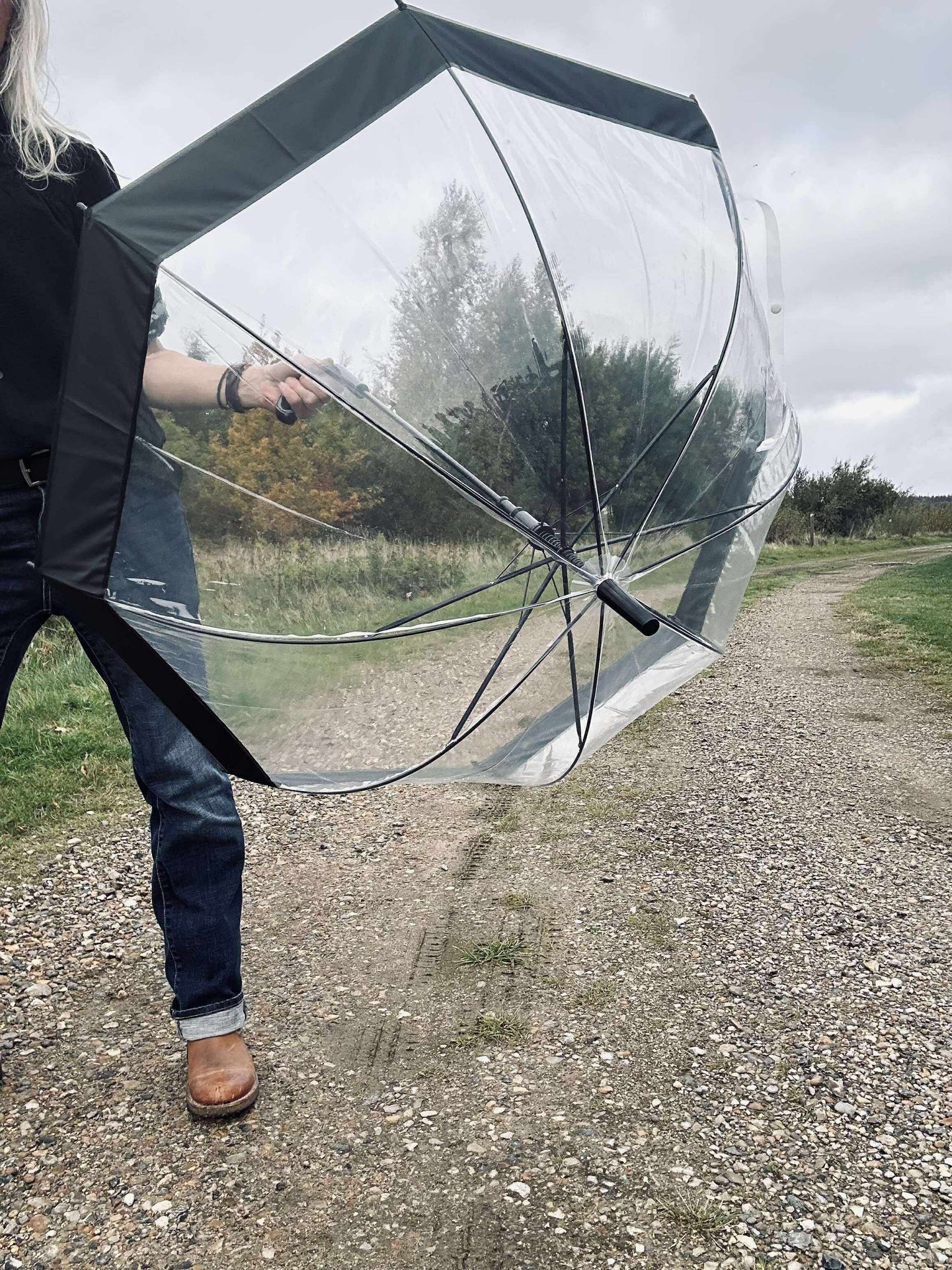 Transparent Paraply - Svart