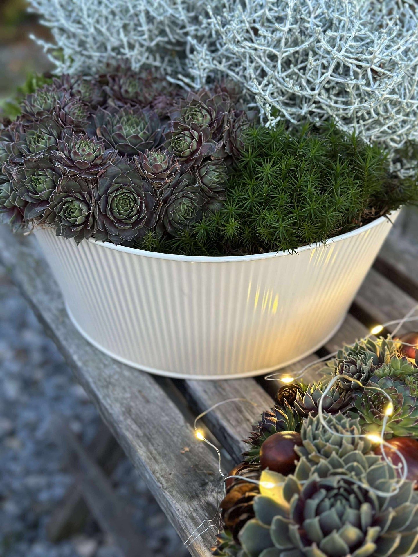 Rund kruka med räfflor