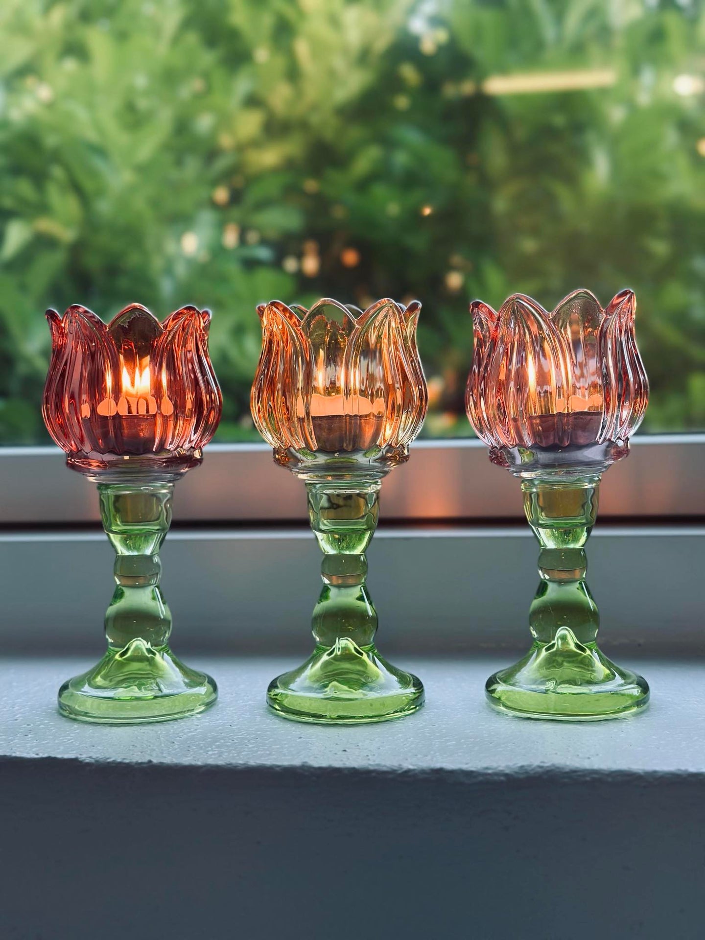 Ljusstake blomma Mörk rosa