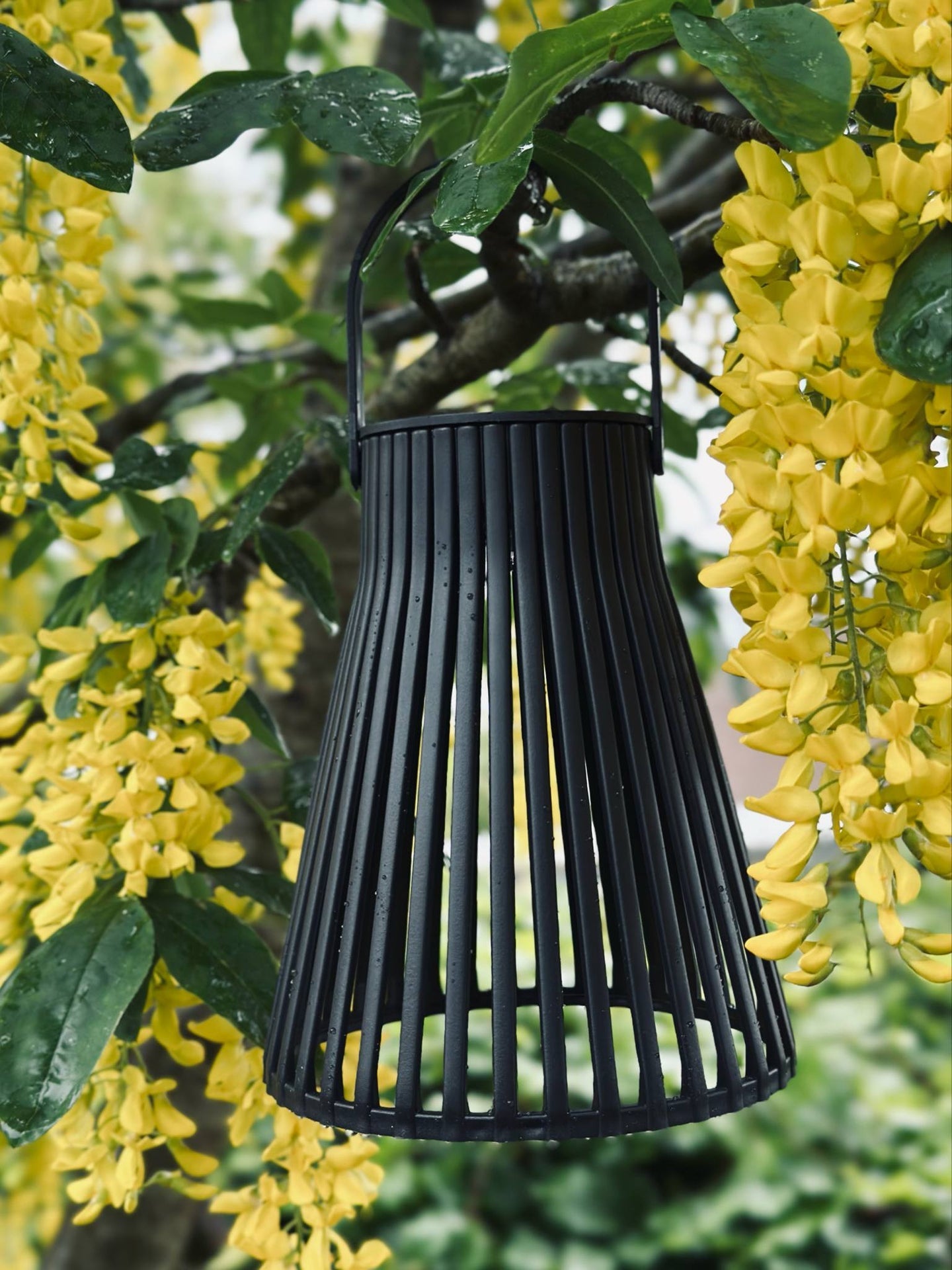 Lykta med solceller - GARDEN BLACK 14cm