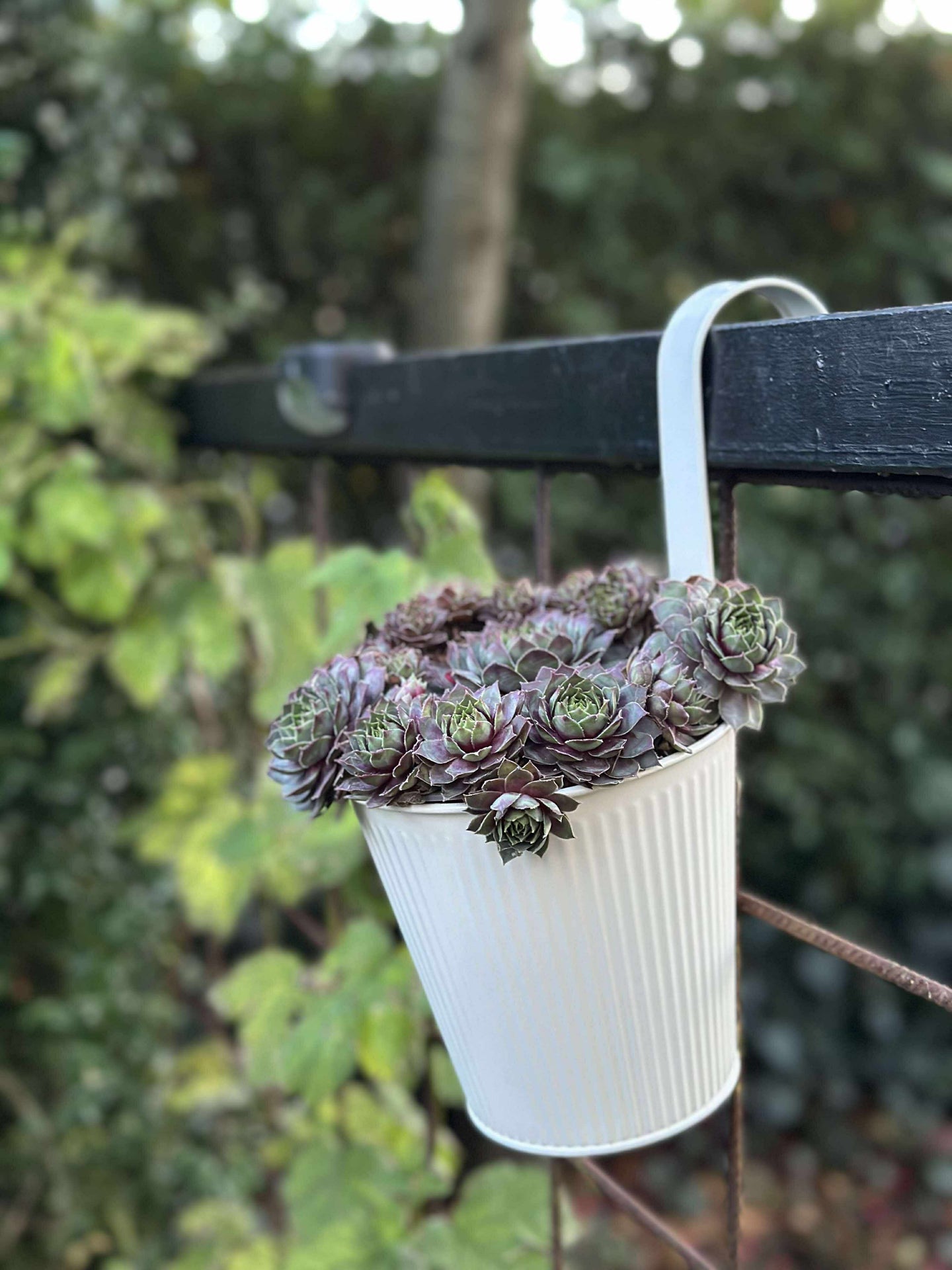 Krukka med räfflor och upphängning - Vit