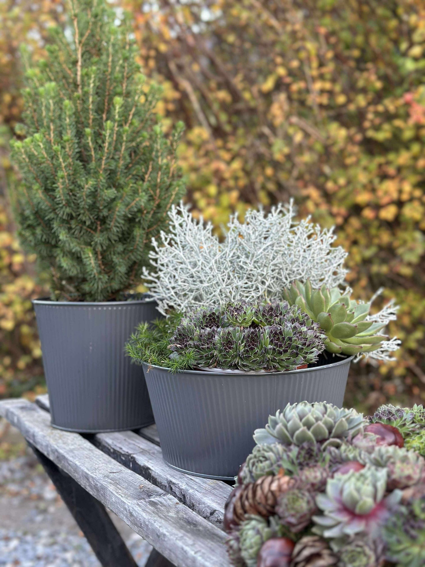 Rund kruka med räfflor - Grå