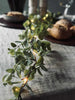 Ljusslinga med gröna eukalyptusblad