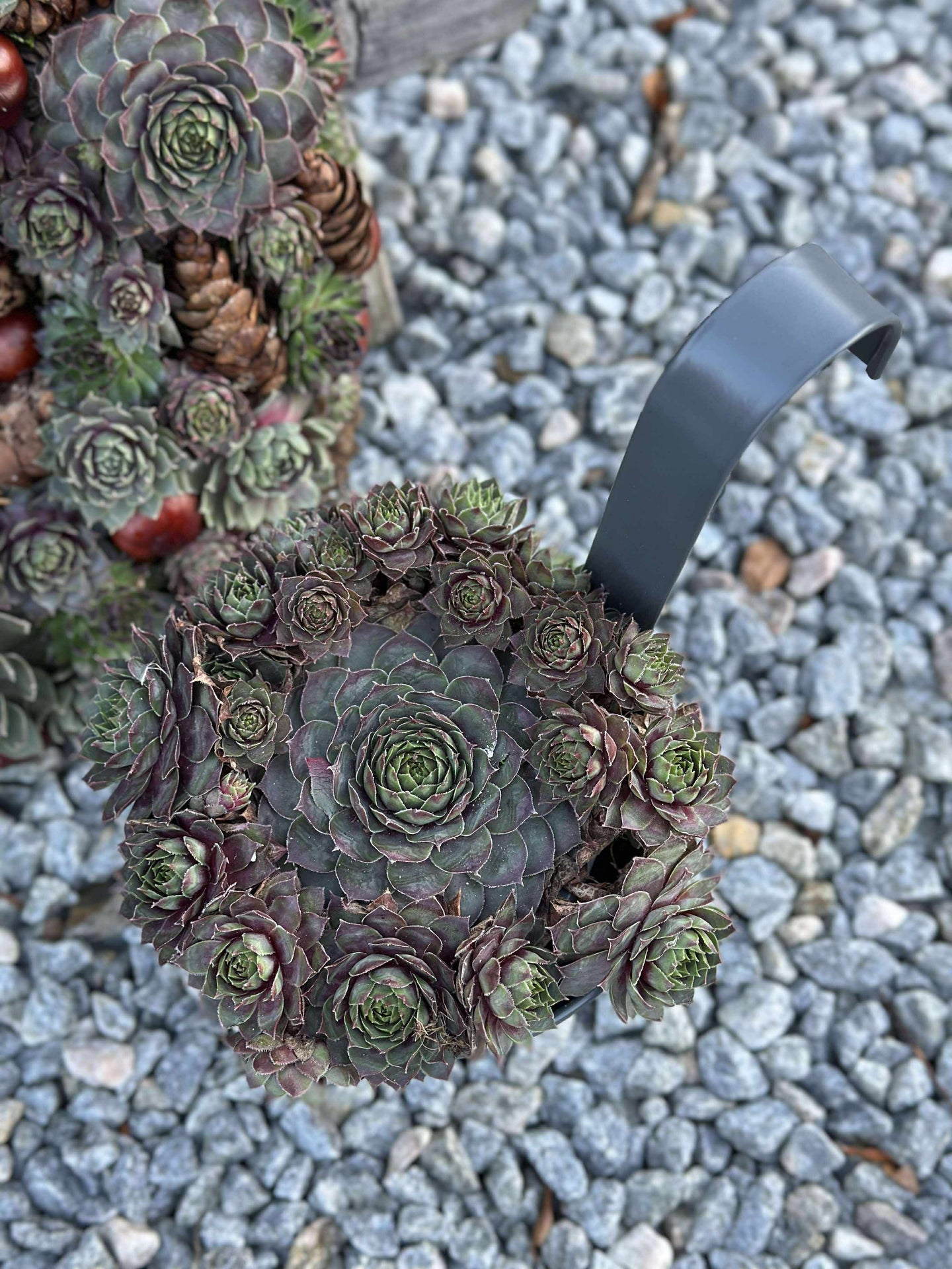 Kruka med räfflor och upphängning - Grå