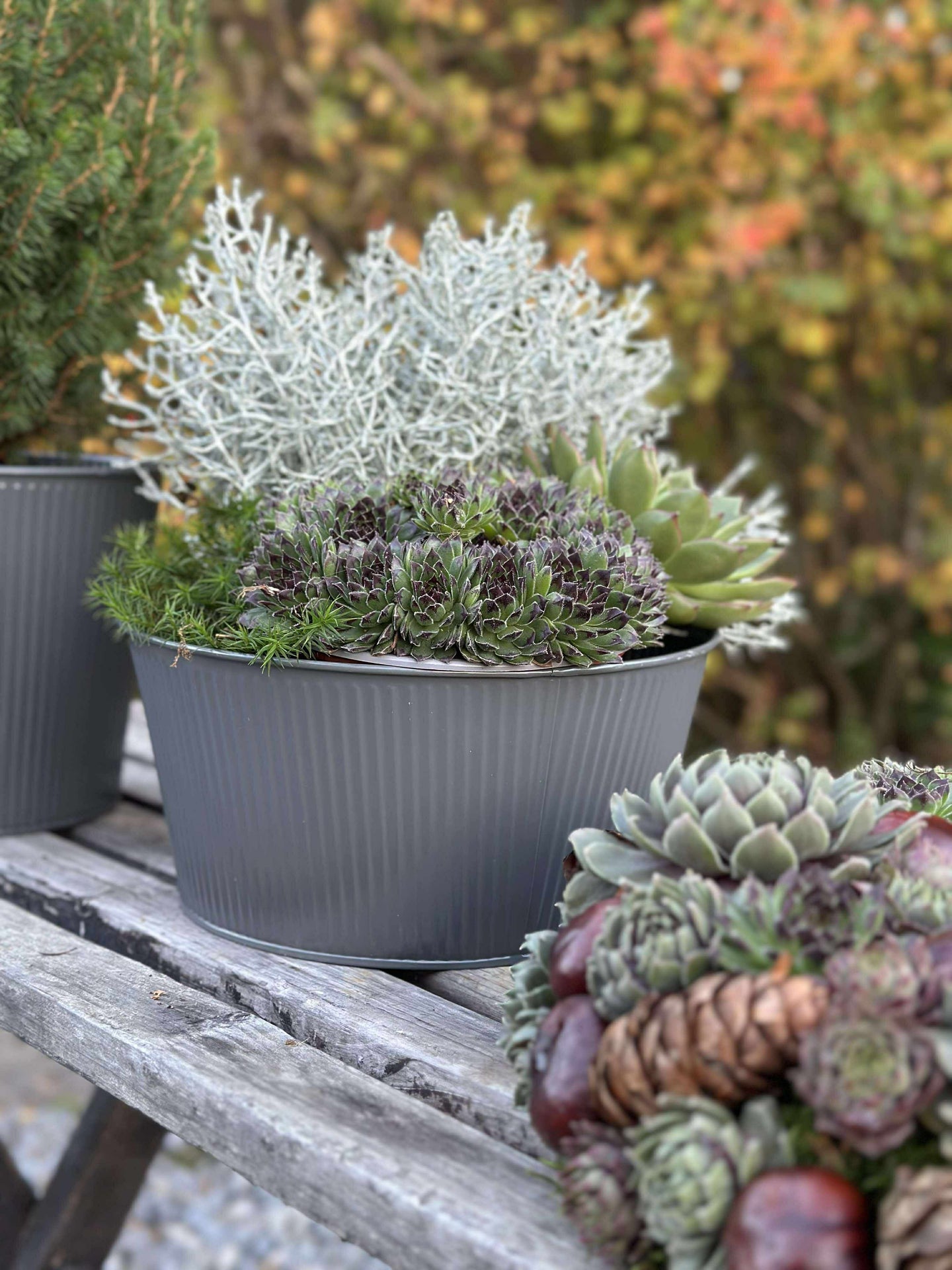 Rund kruka med räfflor - Grå