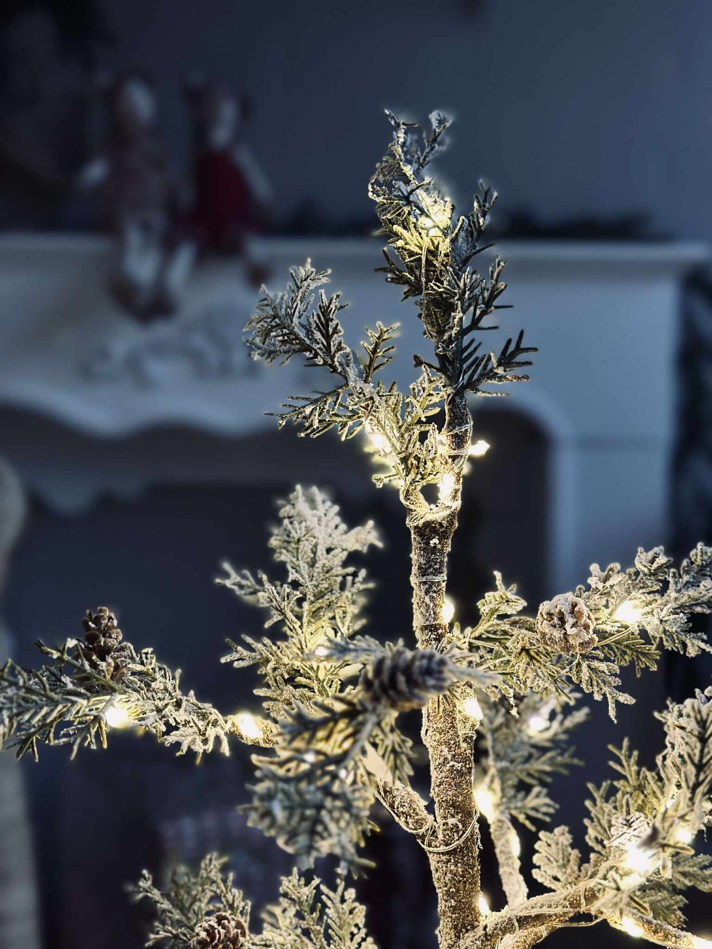 Träd med kottar och ljusslinga