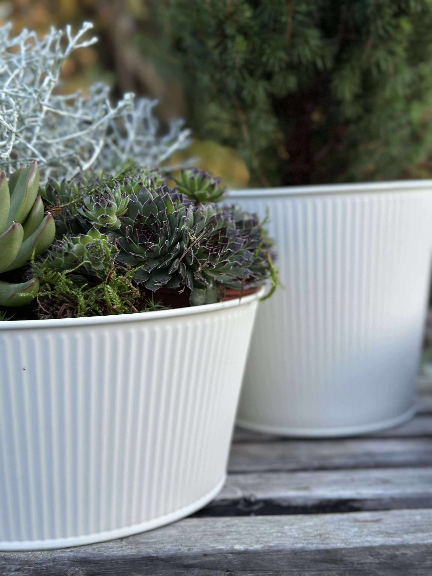 Rund kruka med räfflor