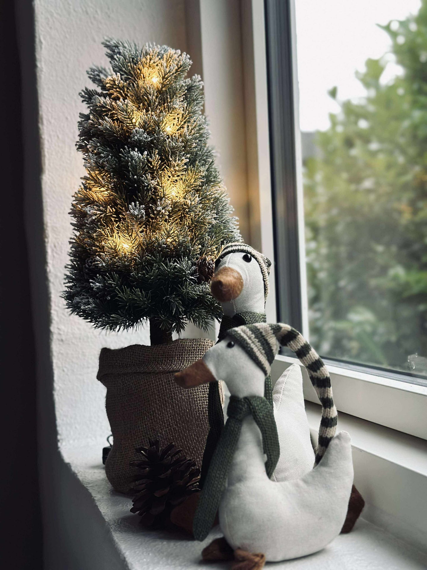 Träd med ljusslinga
