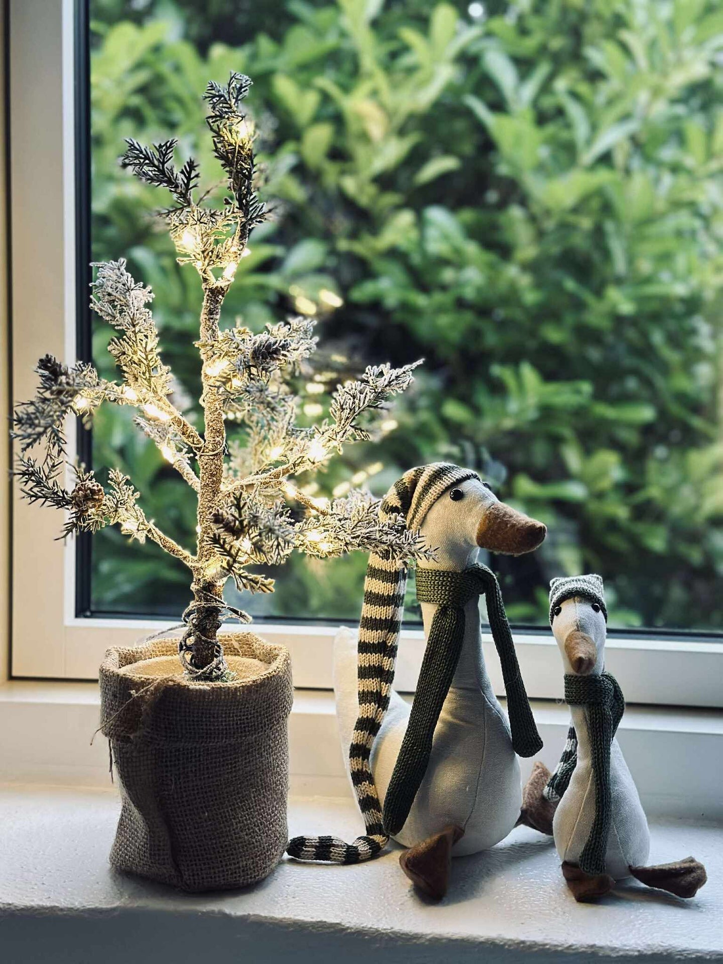 Träd med kottar och ljusslinga