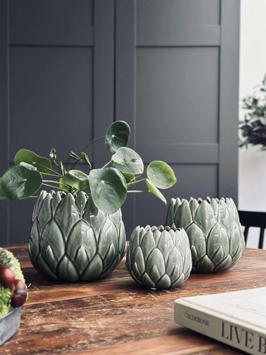 Krukskydd Grön - Flera storlekar