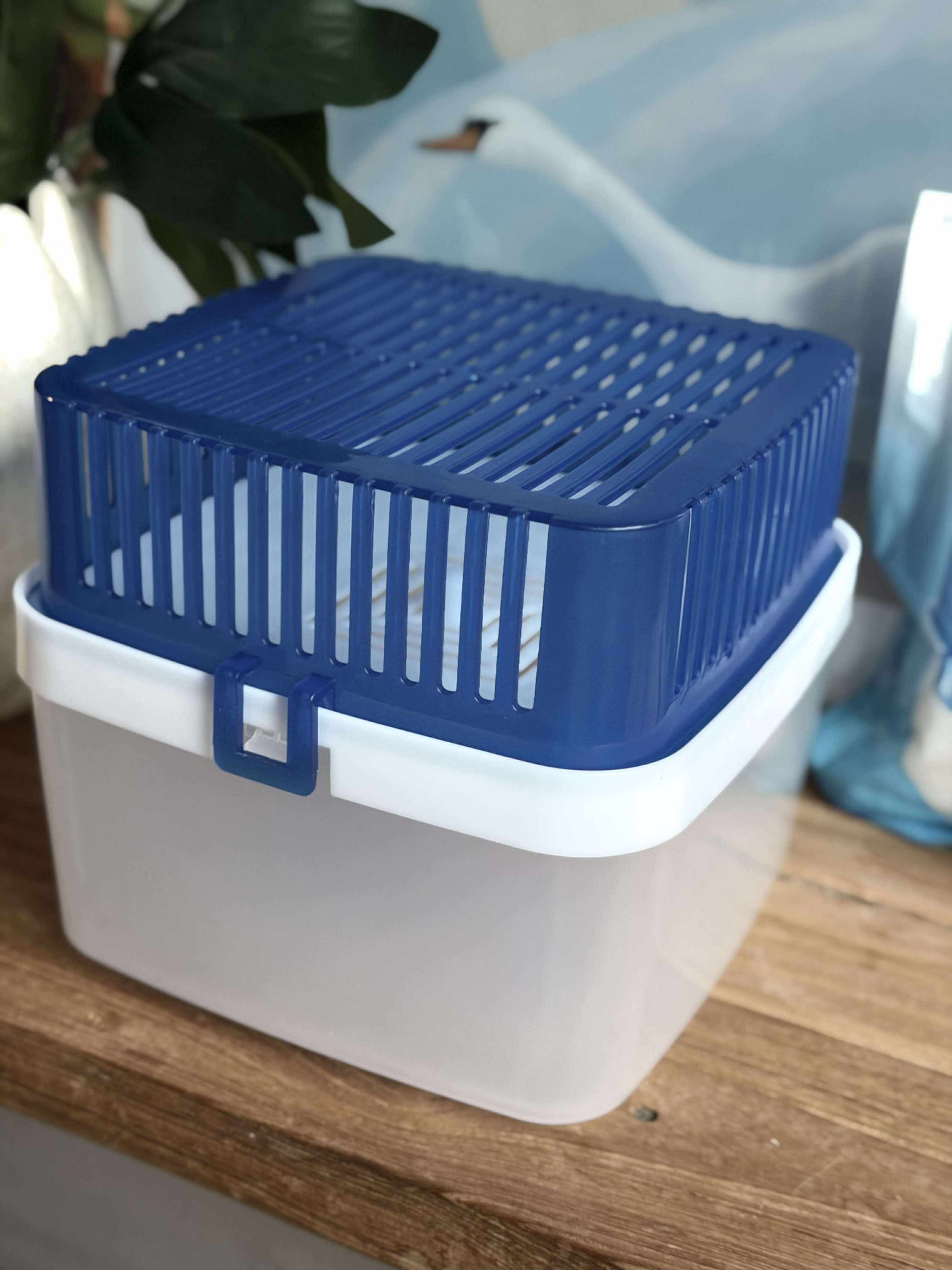 Fuktborttagare 1800 ml + 2 refillpåsar