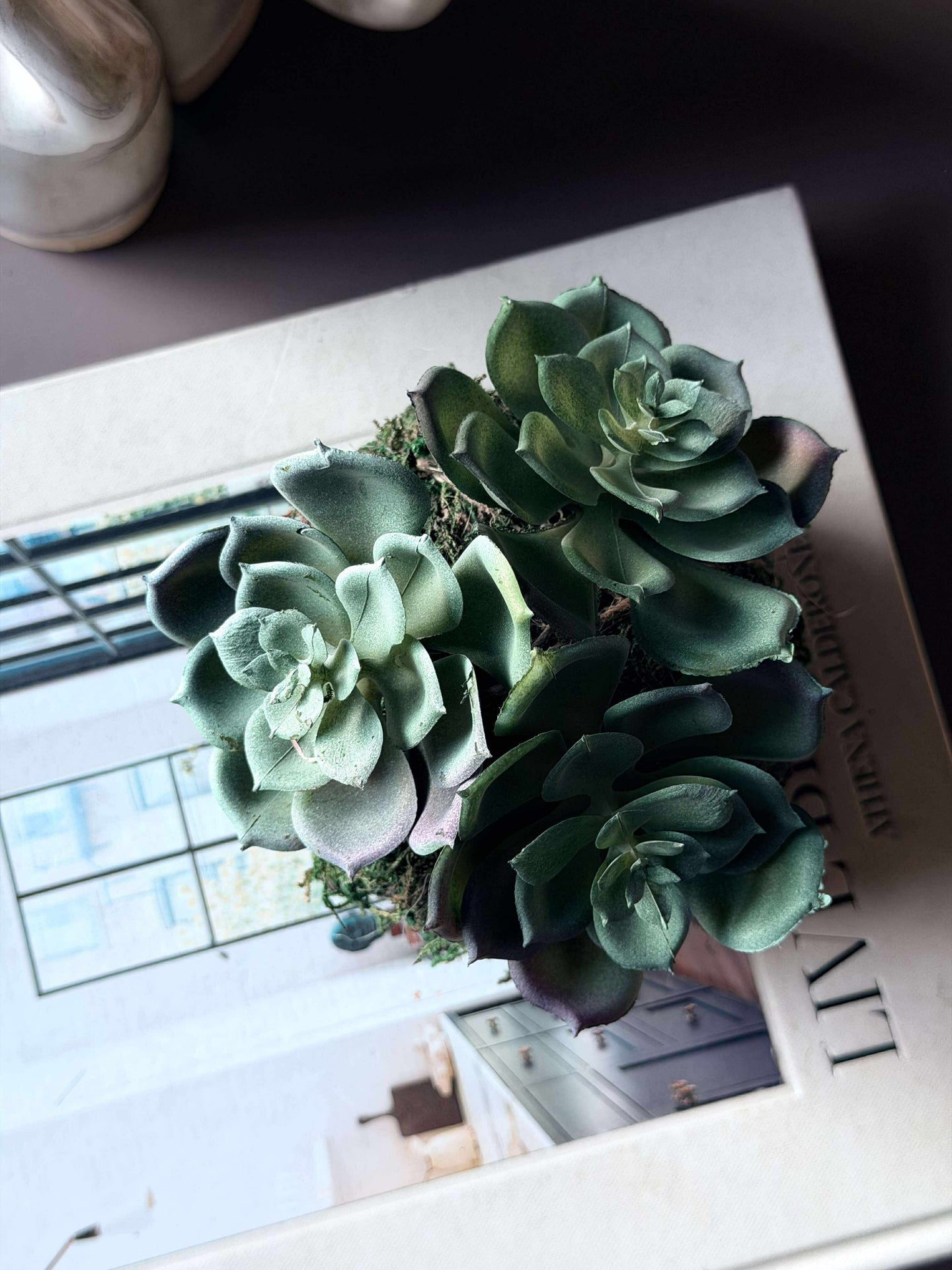 Blomma taklök mossboll