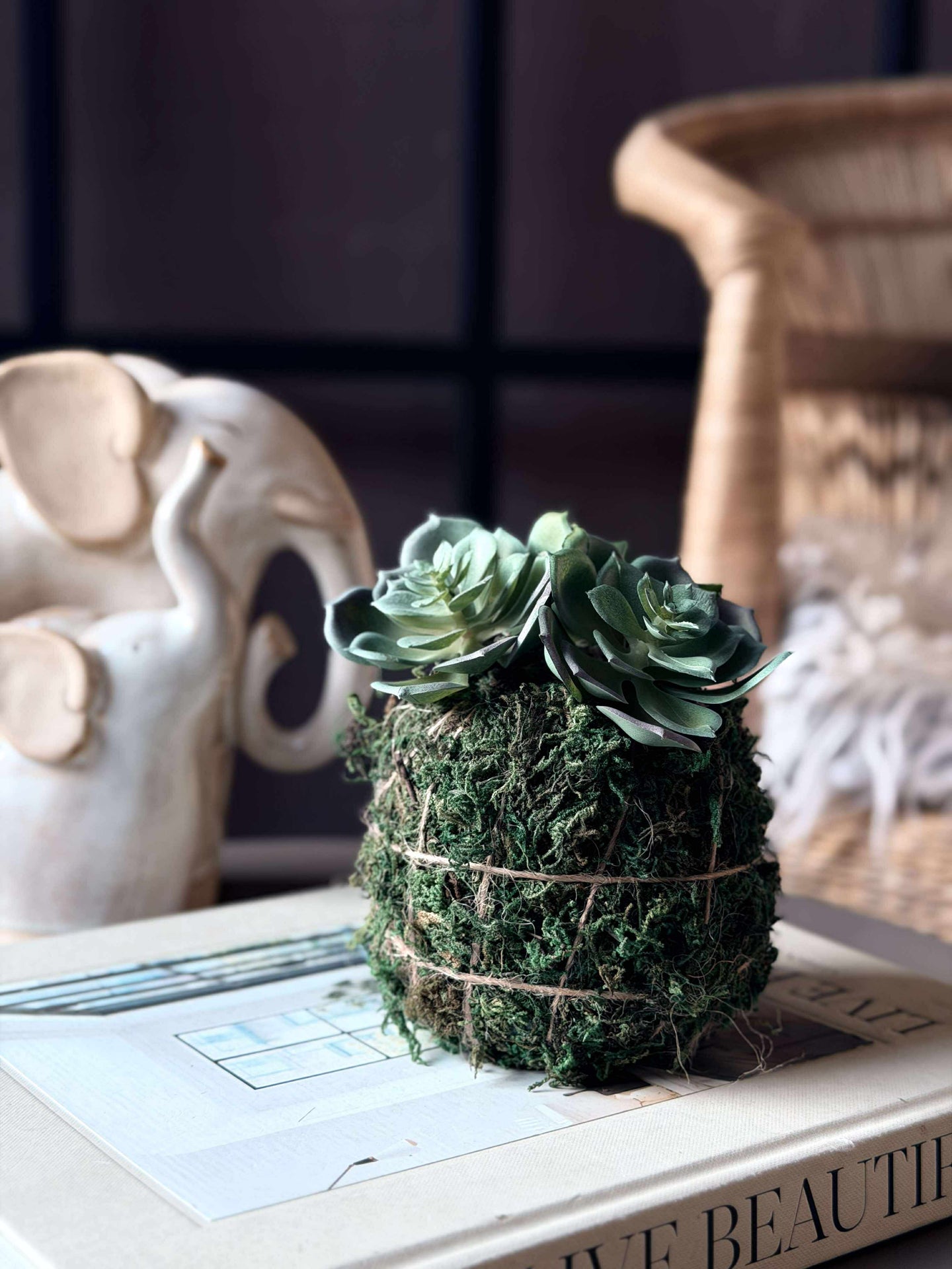 Blomma taklök mossboll