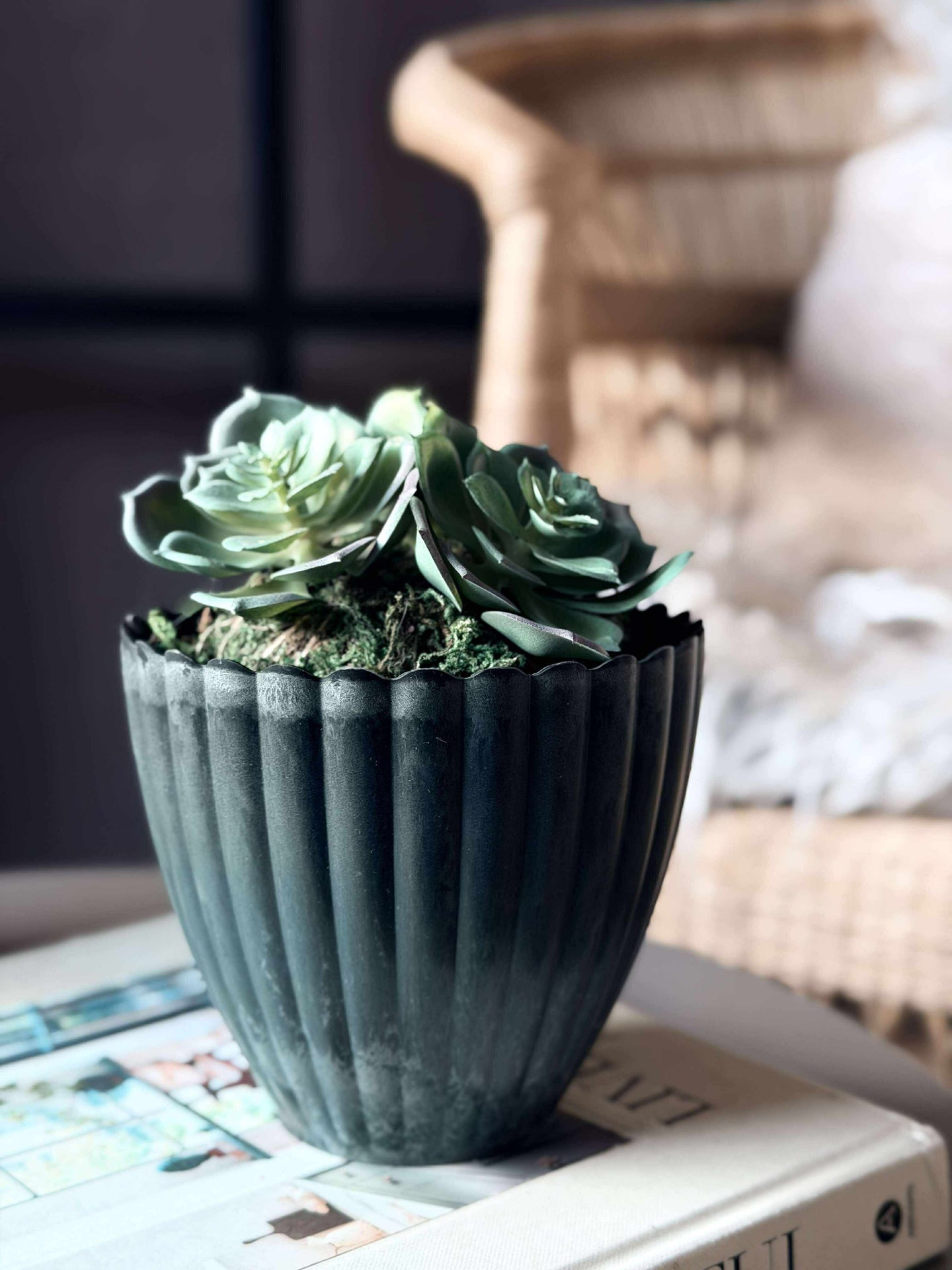 Blomma taklök mossboll