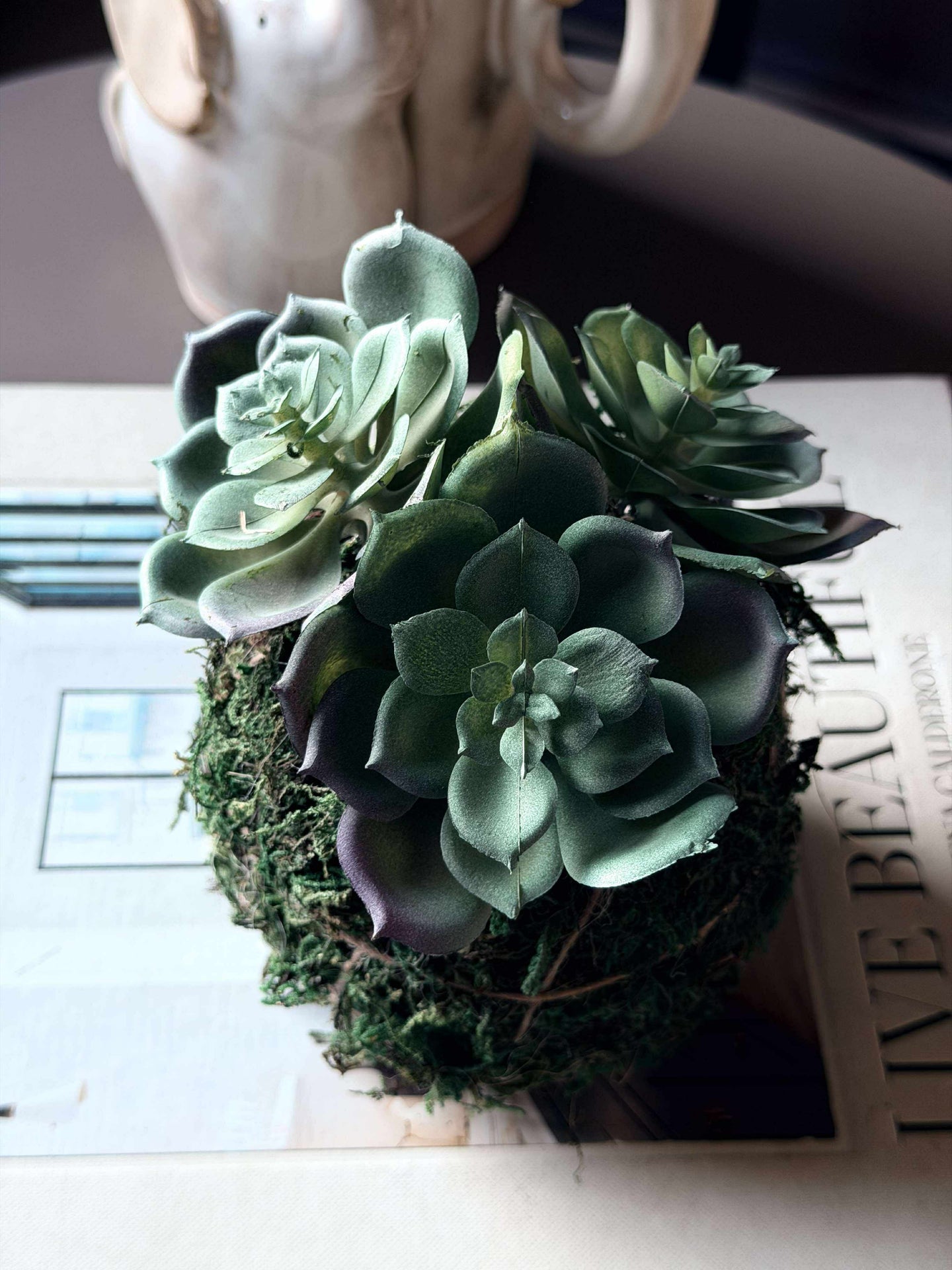 Blomma taklök mossboll