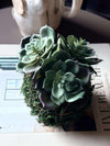 Blomma huslök mosskula