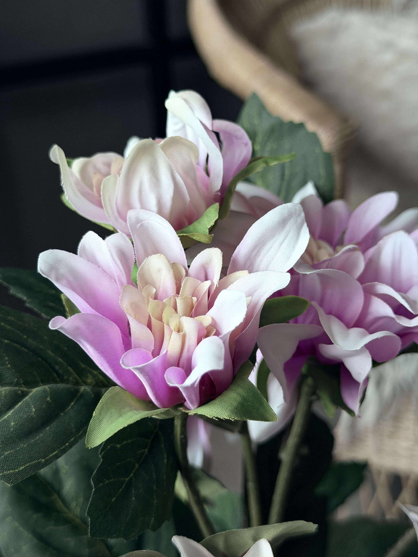 Dahlia i kruka - Ljusrosa