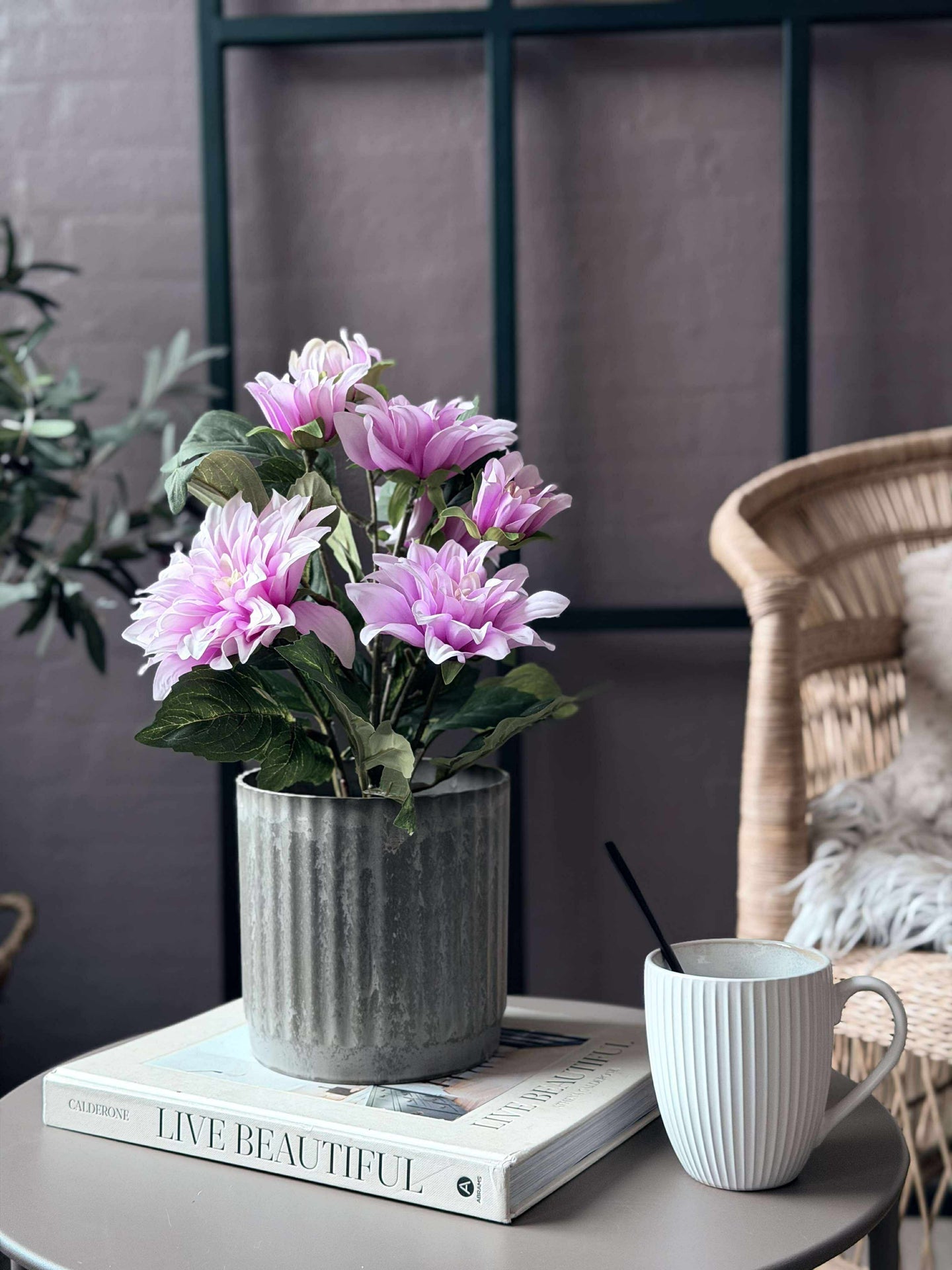 Dahlia i kruka - Ljusrosa