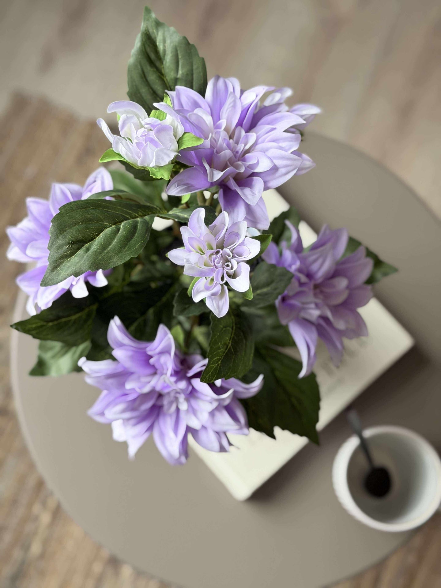 Dahlia i kruka - Lila