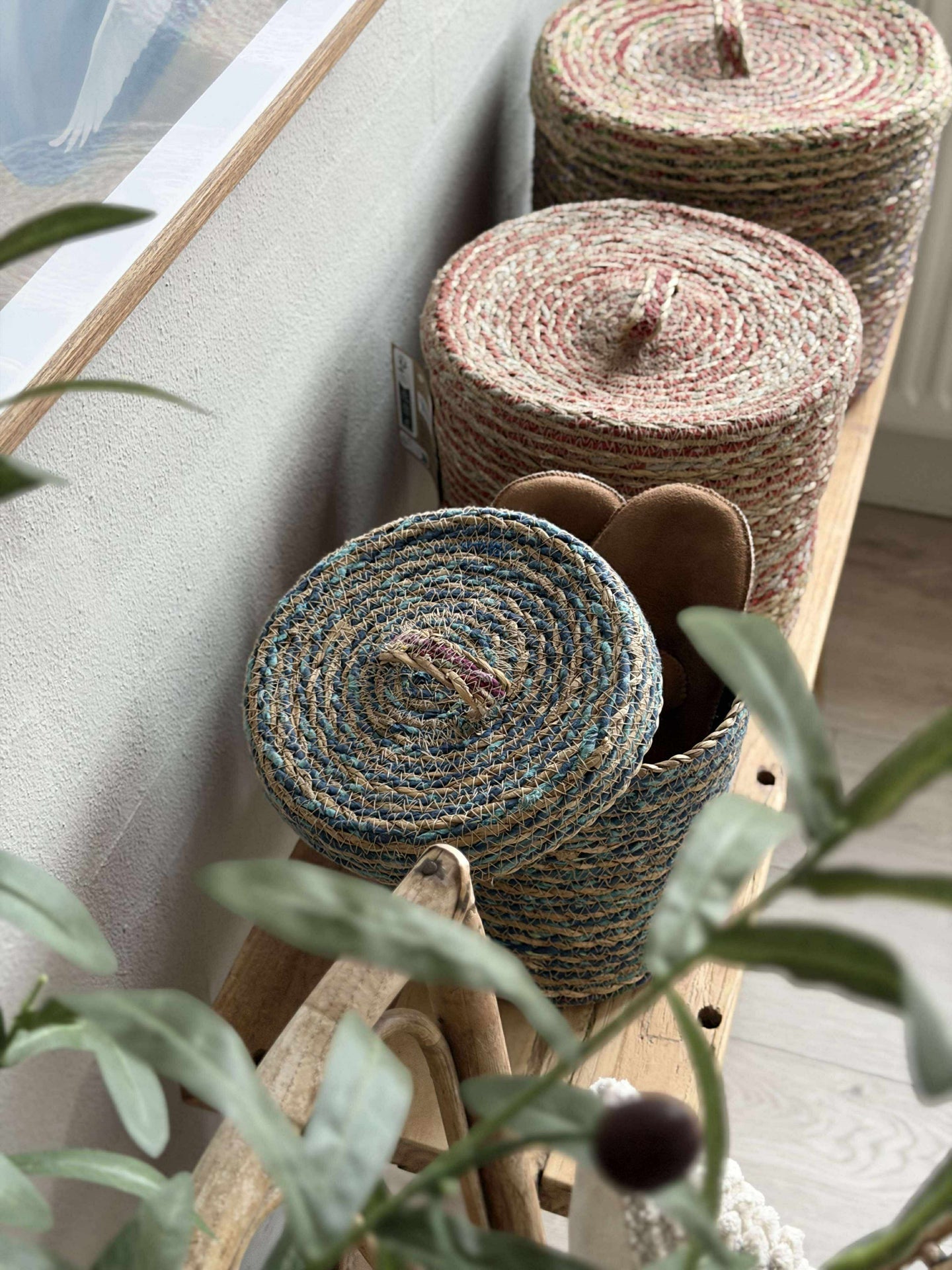 Korgar med lock COLOR - Set om 3 st