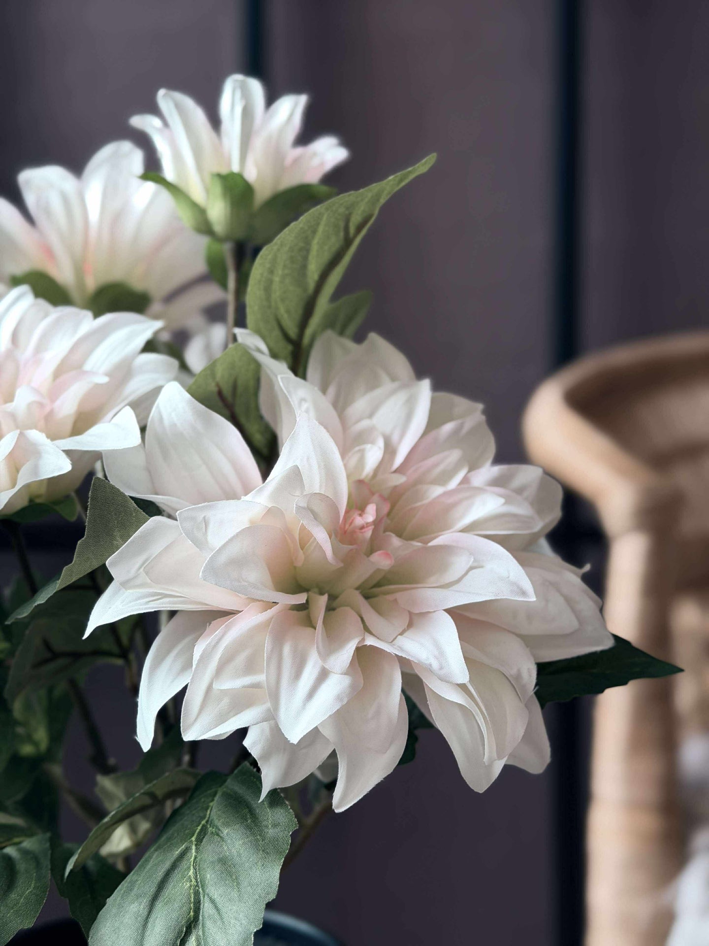 Dahlia i kruka - Vit