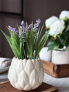 Lavendel mosskula